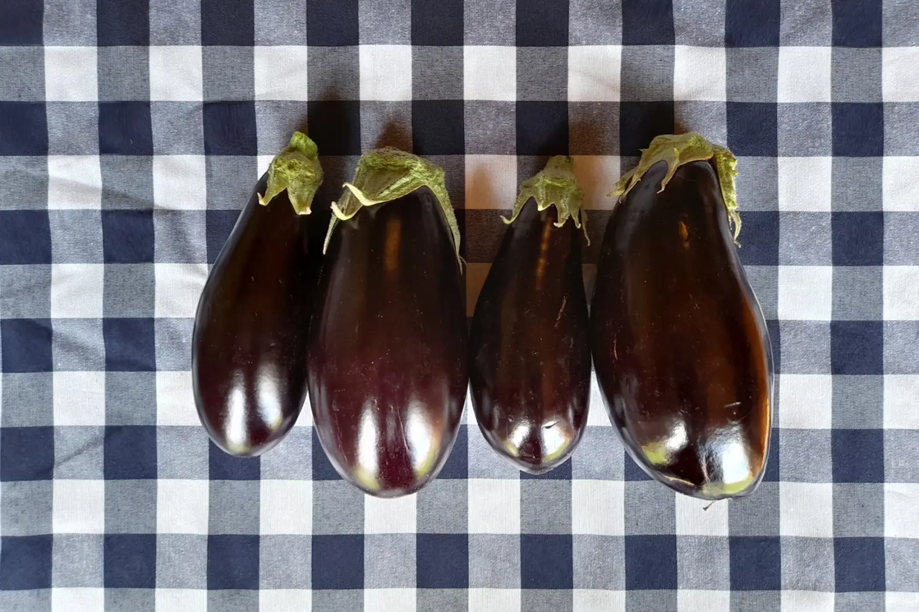aubergine
