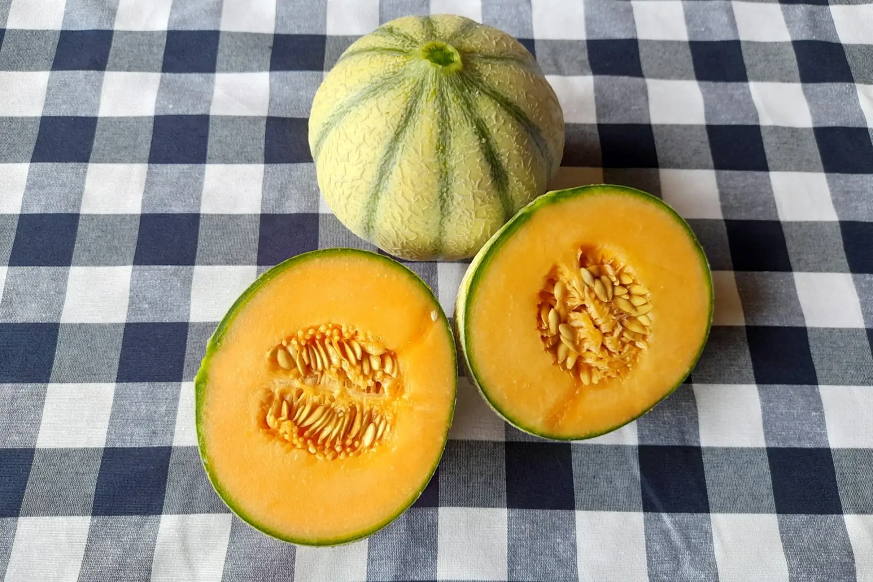 melon
