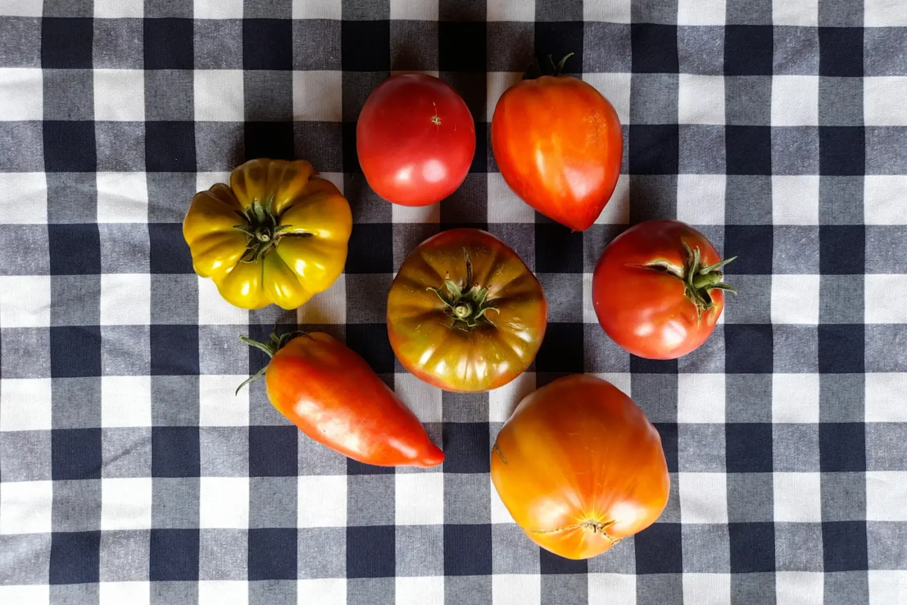 tomates anciennes