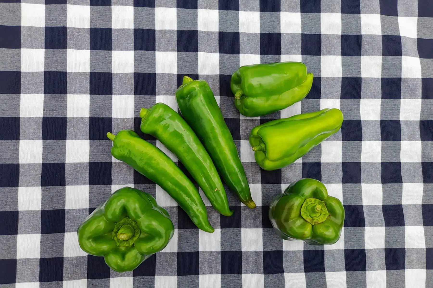 poivron vert
