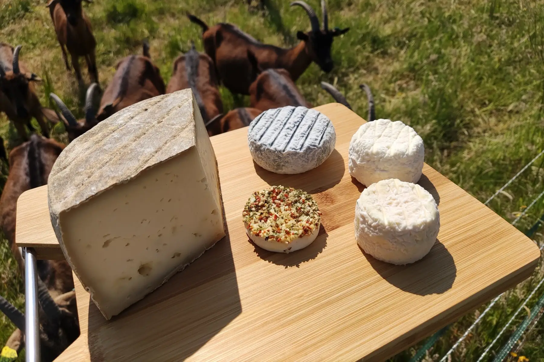 Grand Panier de fromages de chèvre