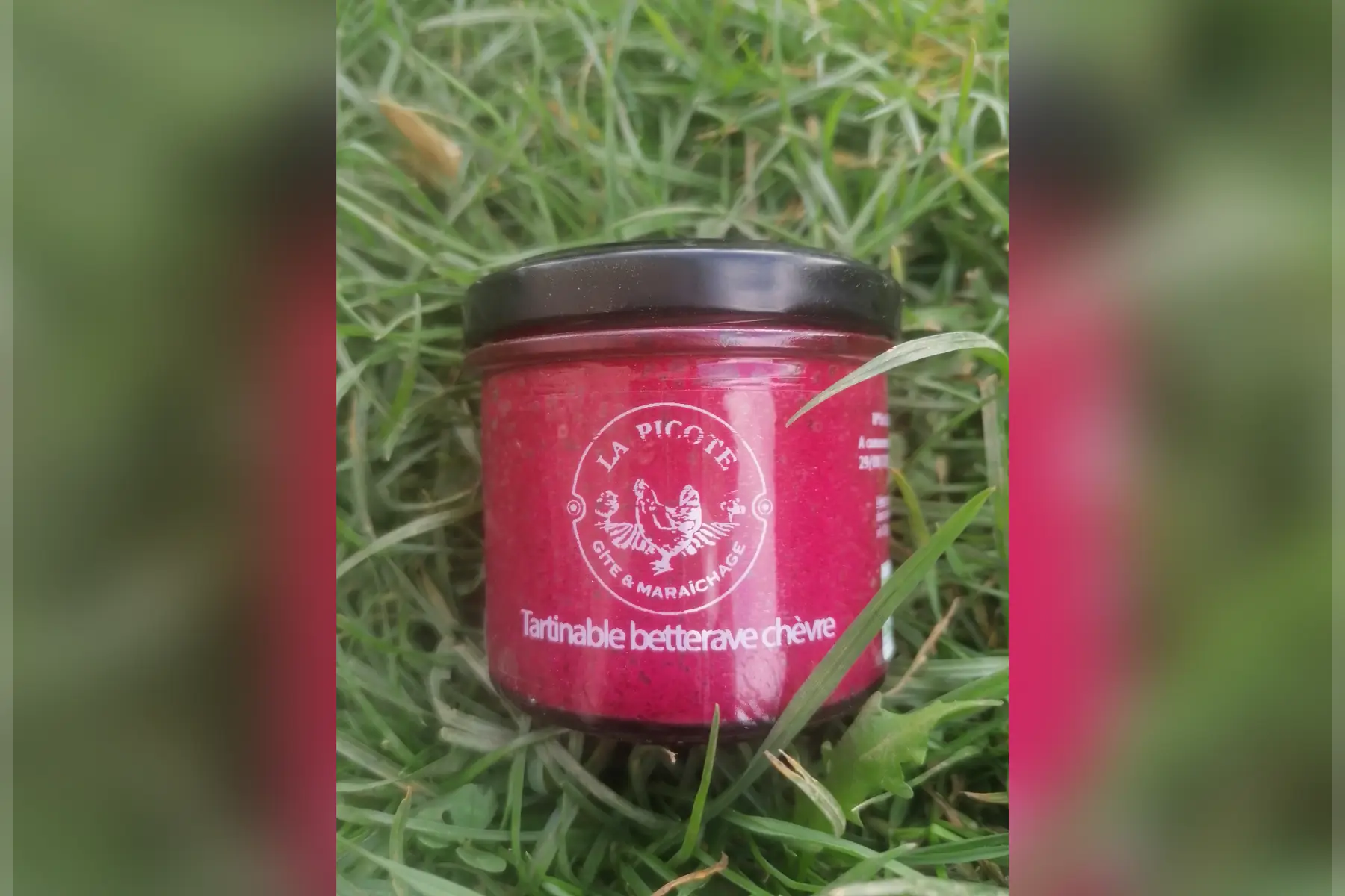 Tartinable betterave chèvre