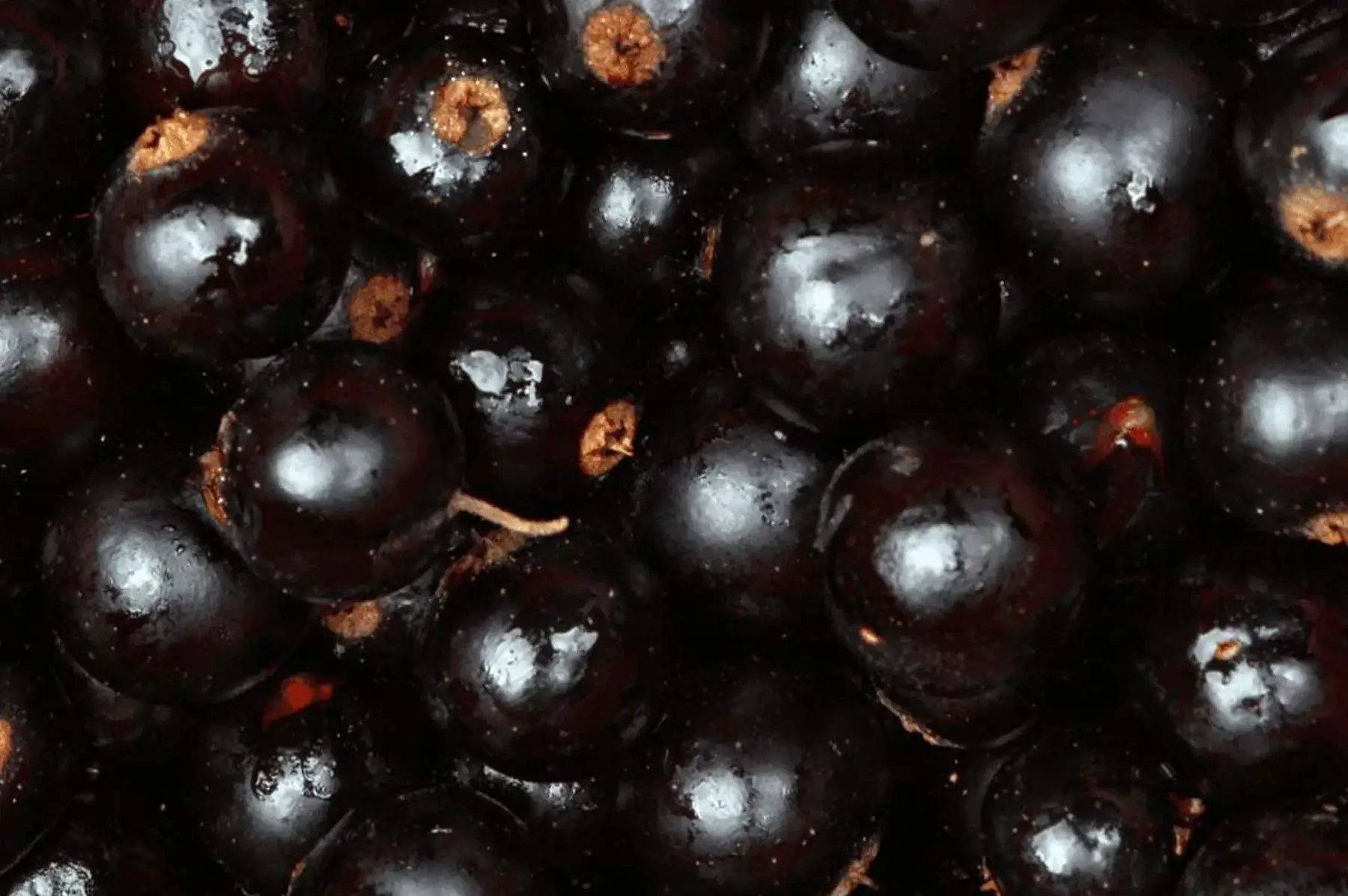 Cassis (barq250g)