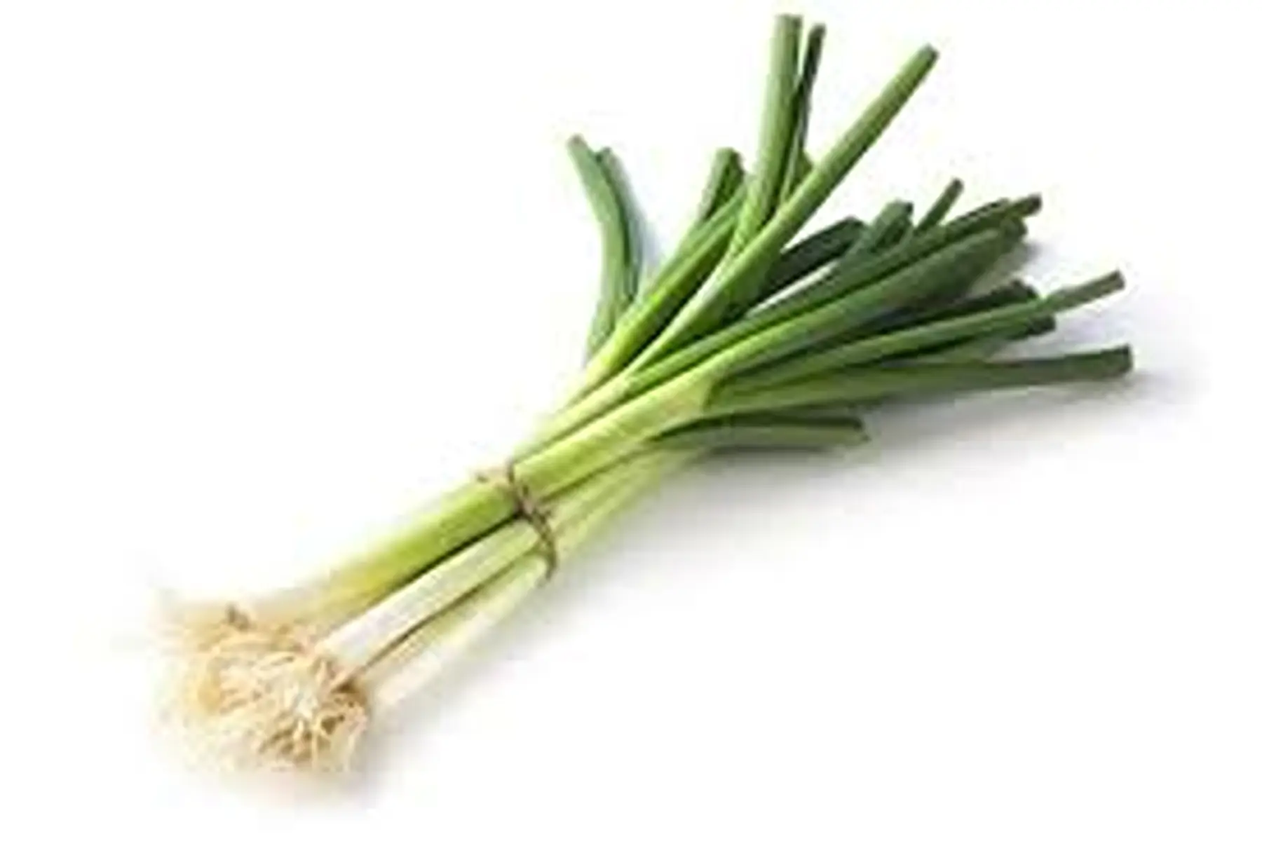 Botte oignons cebette