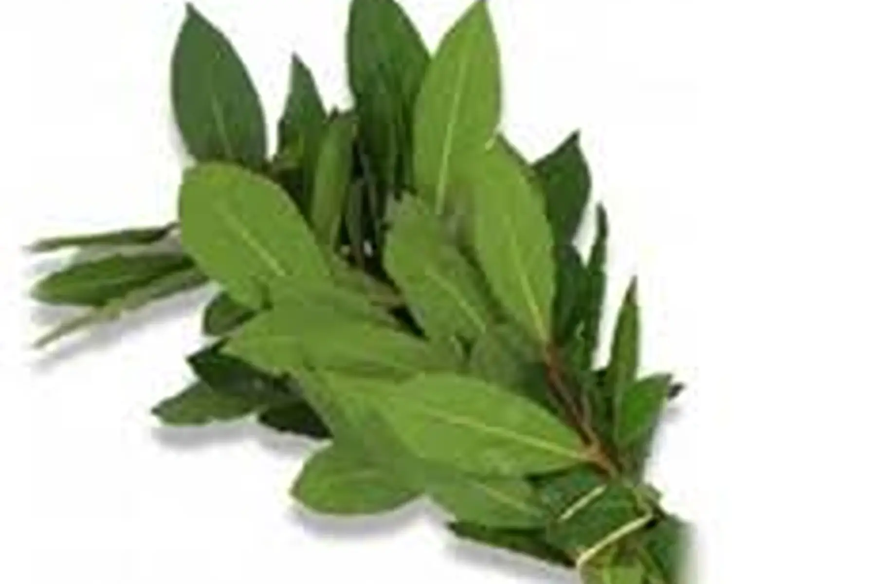 Bouquet de laurier