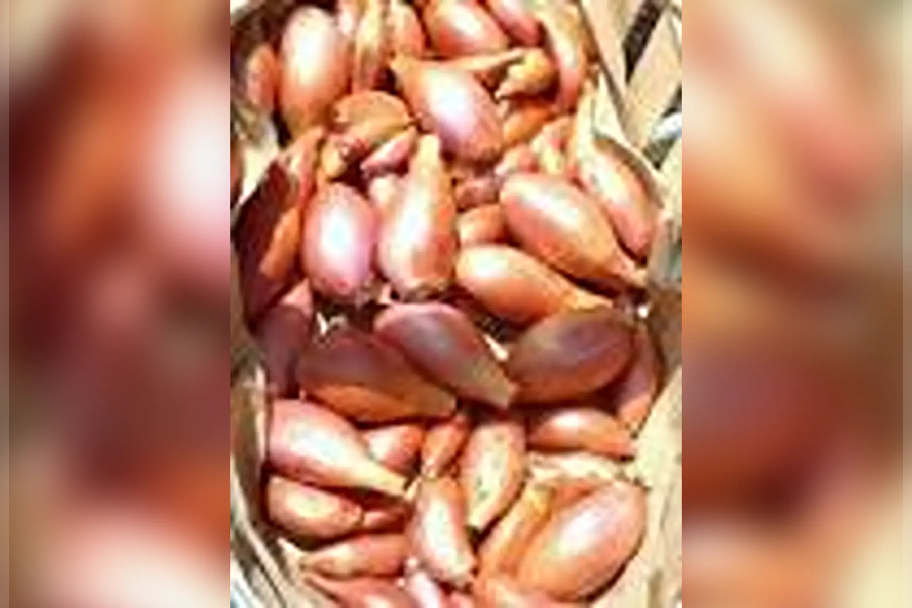 Echalote 500g