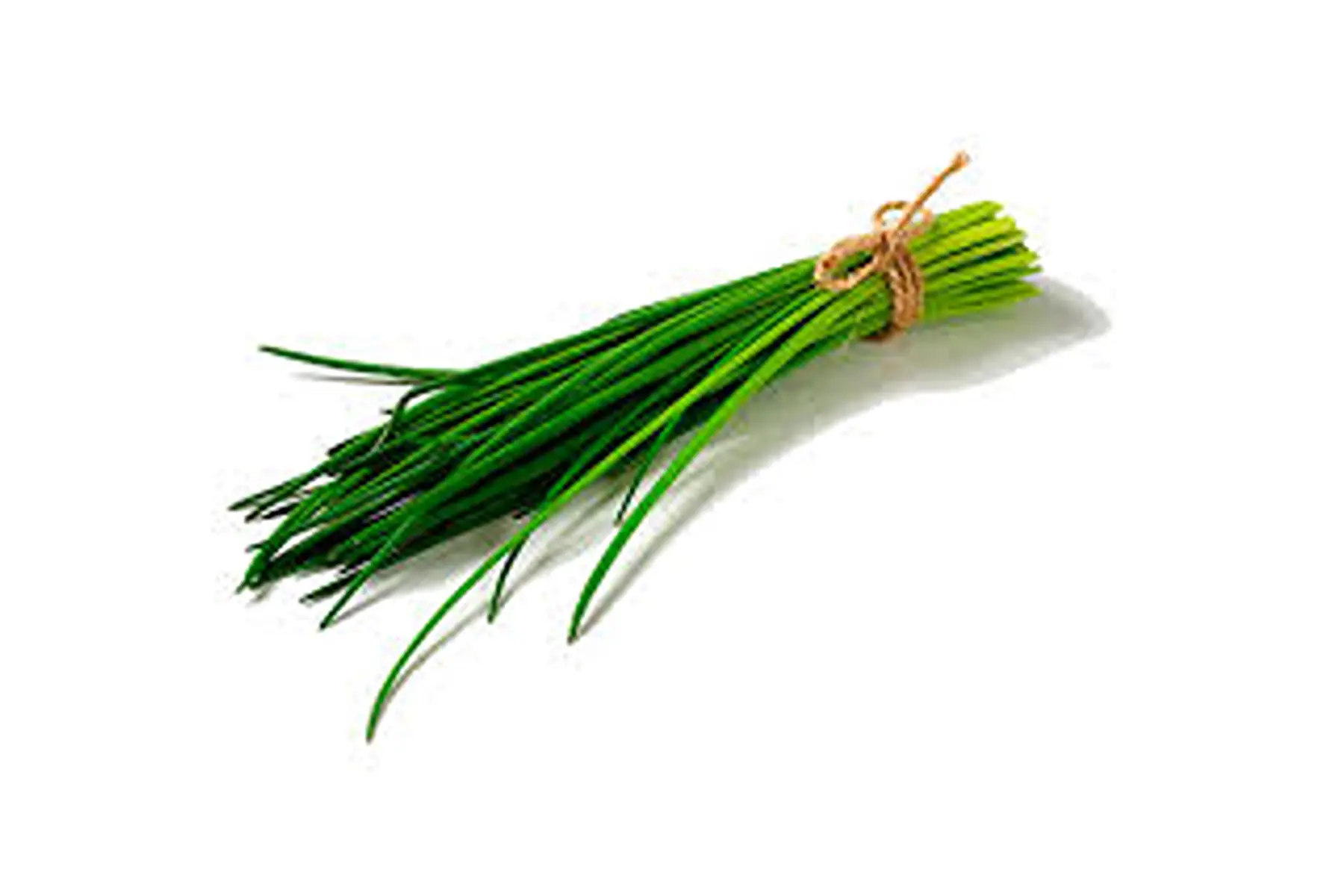 bouquet de ciboulette