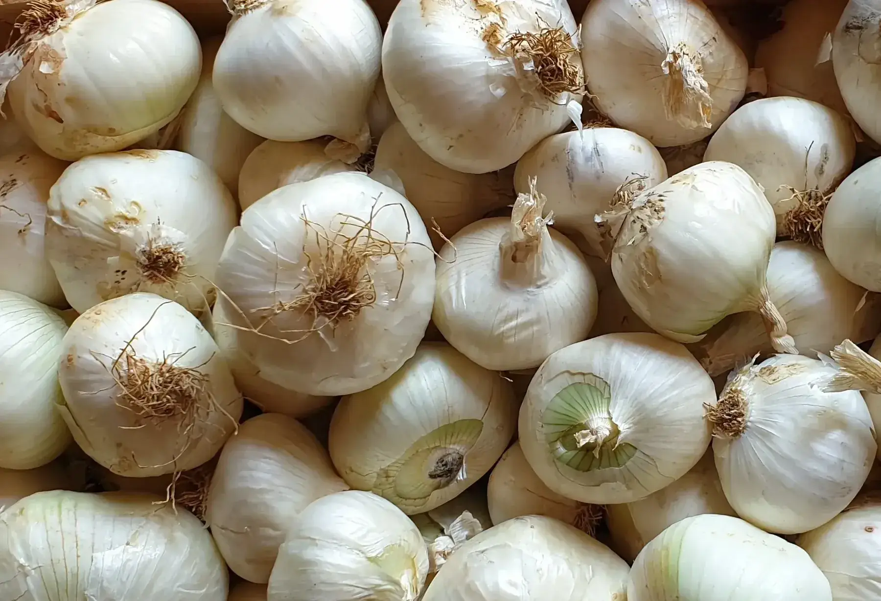 Les Légumes d'ici et d'ici