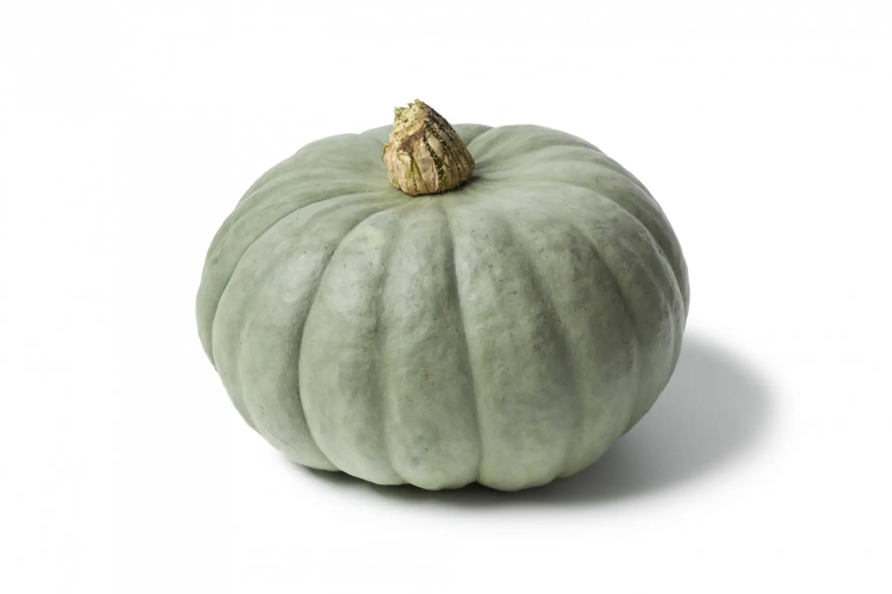 courge bleue de hongrie