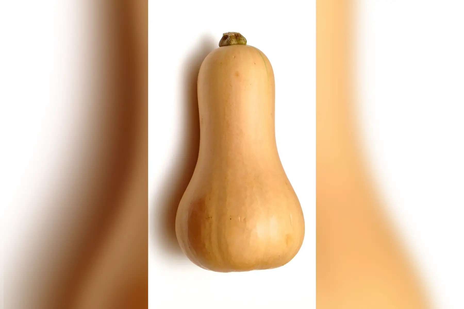 butternut