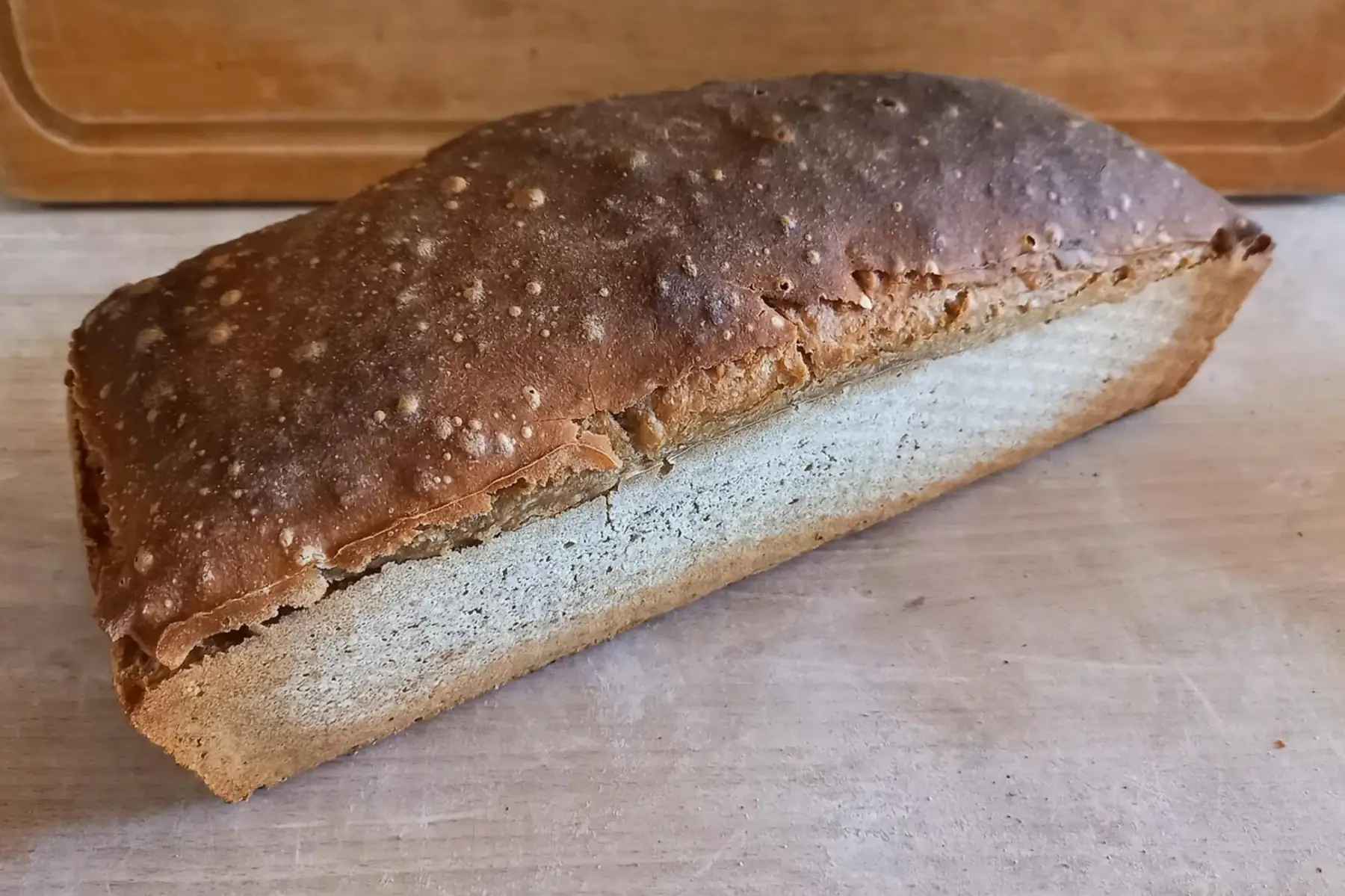 pain 100% grand épeautre 1kg