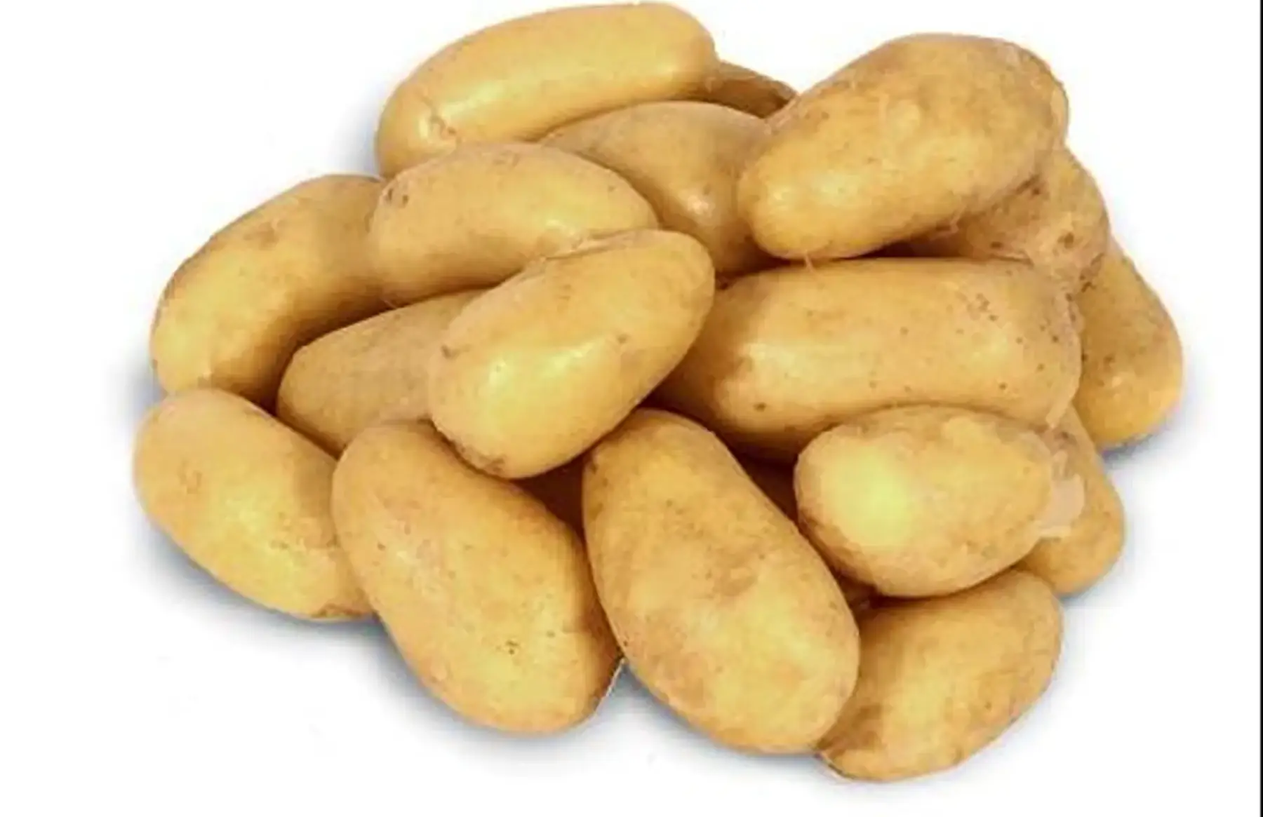 pomme de terre conservation (Allians)