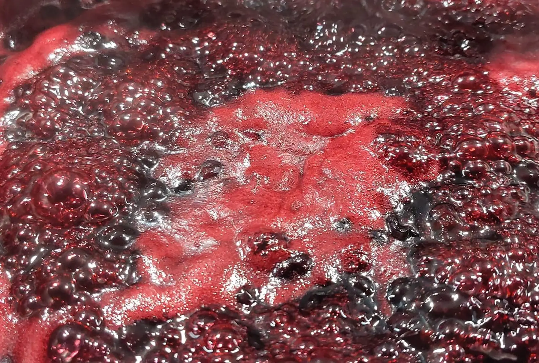 Confiture gastronomique de cassis bio