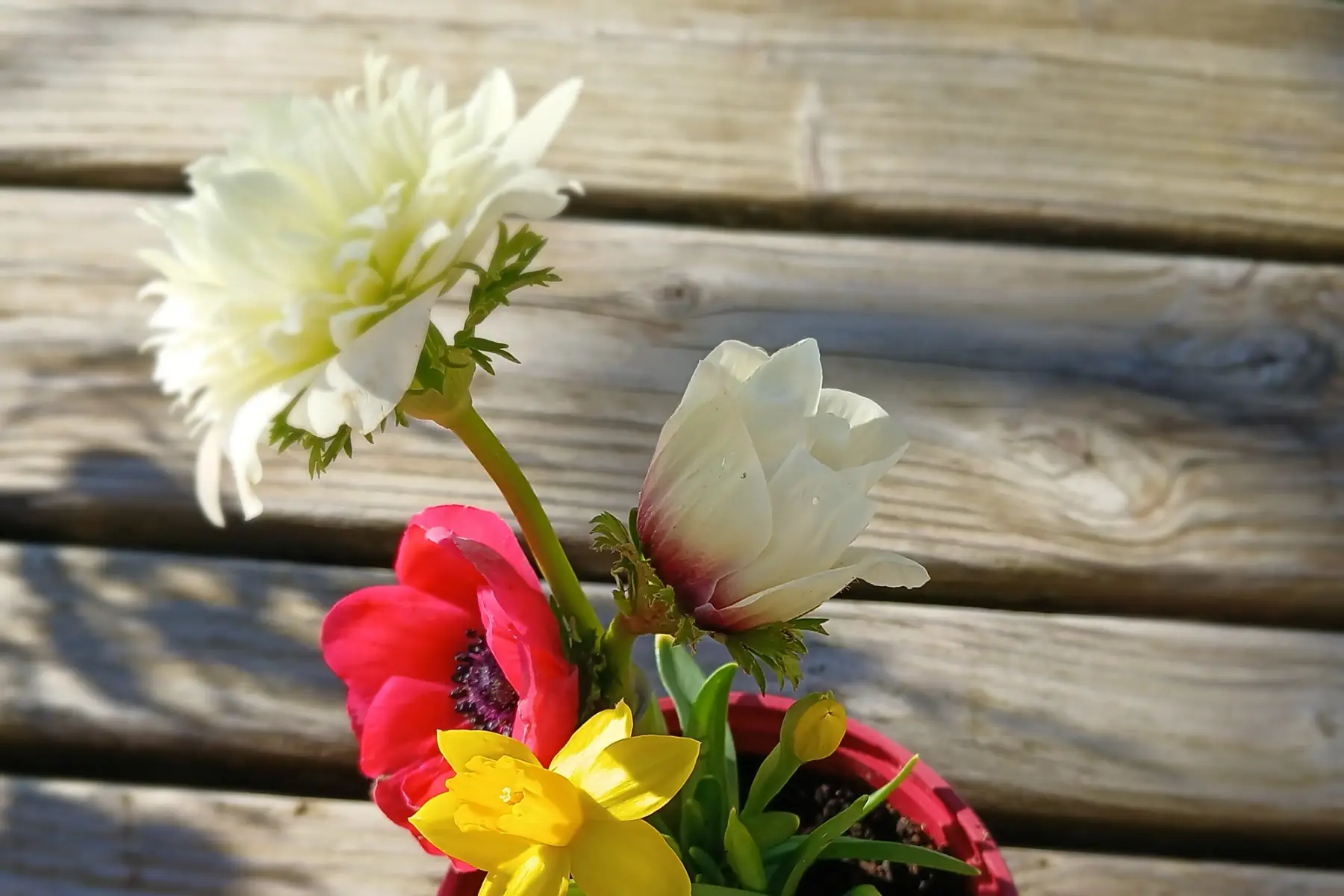 Petite potée de printemps