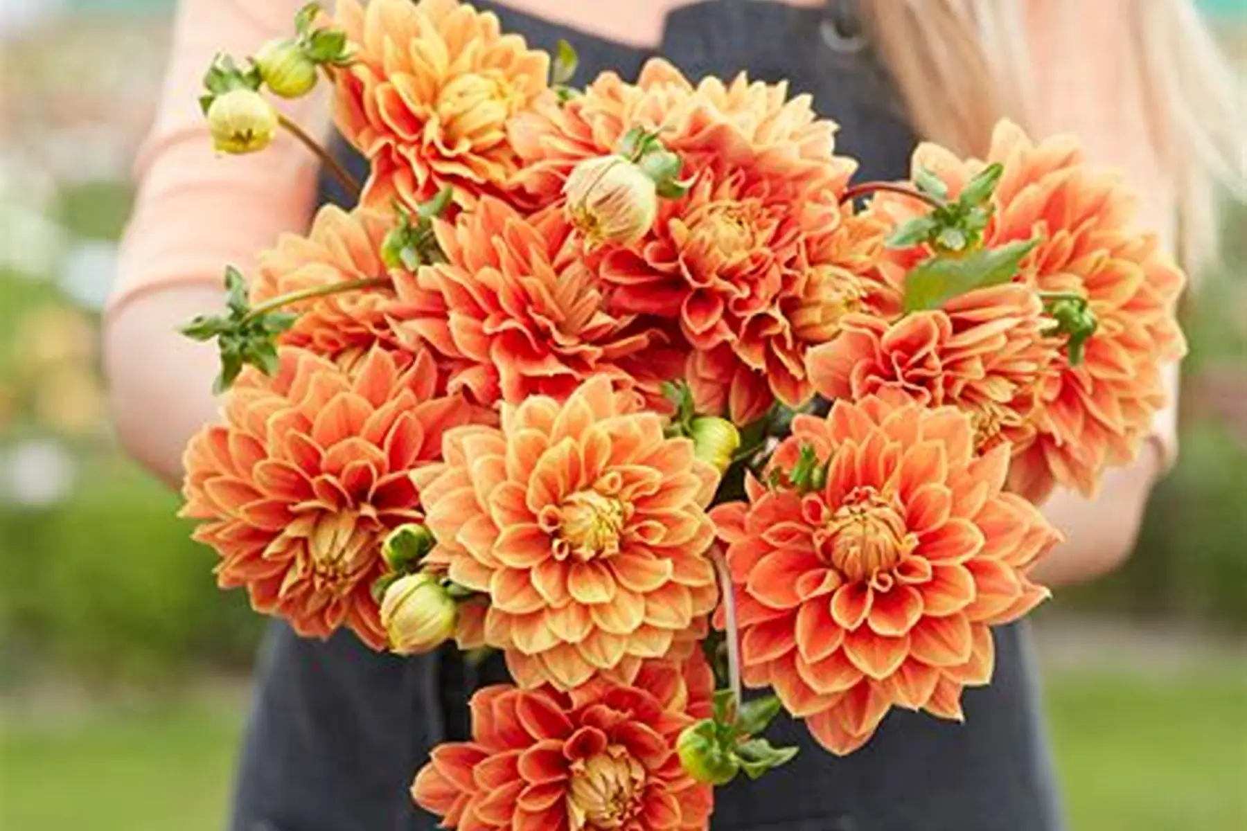 botte fleurs de saison (photo non contractuelle)