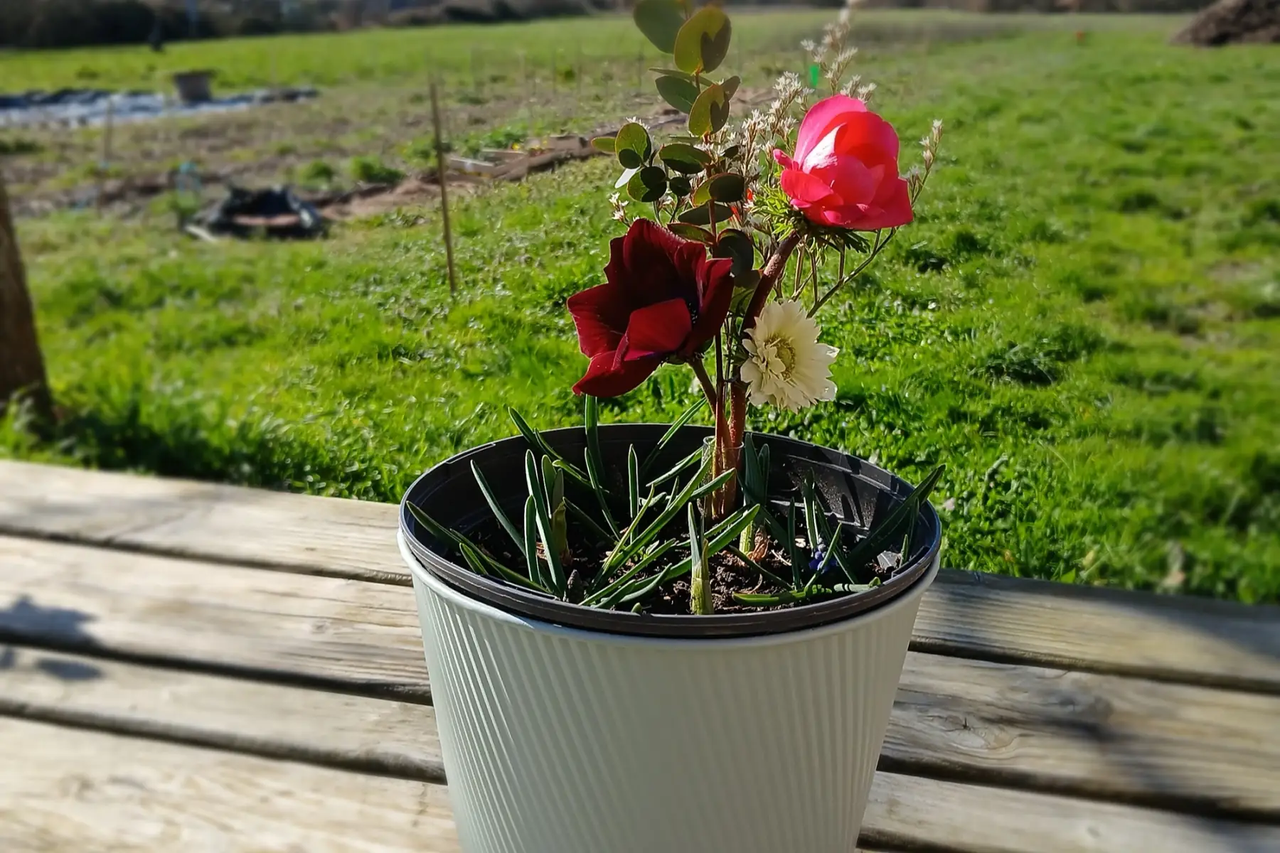 Grande potée de printemps