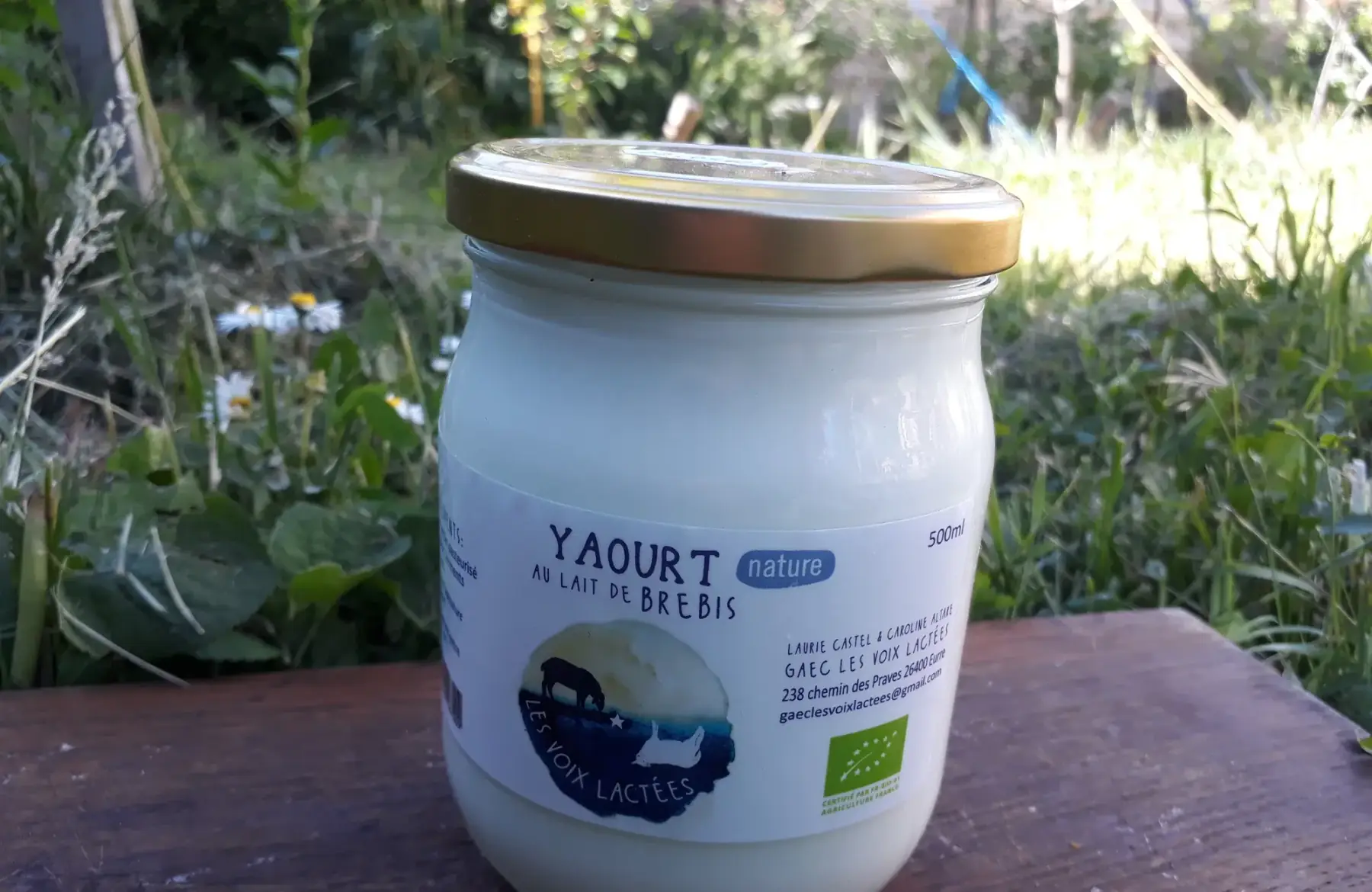 yaourt au lait de brebis nature 500ml