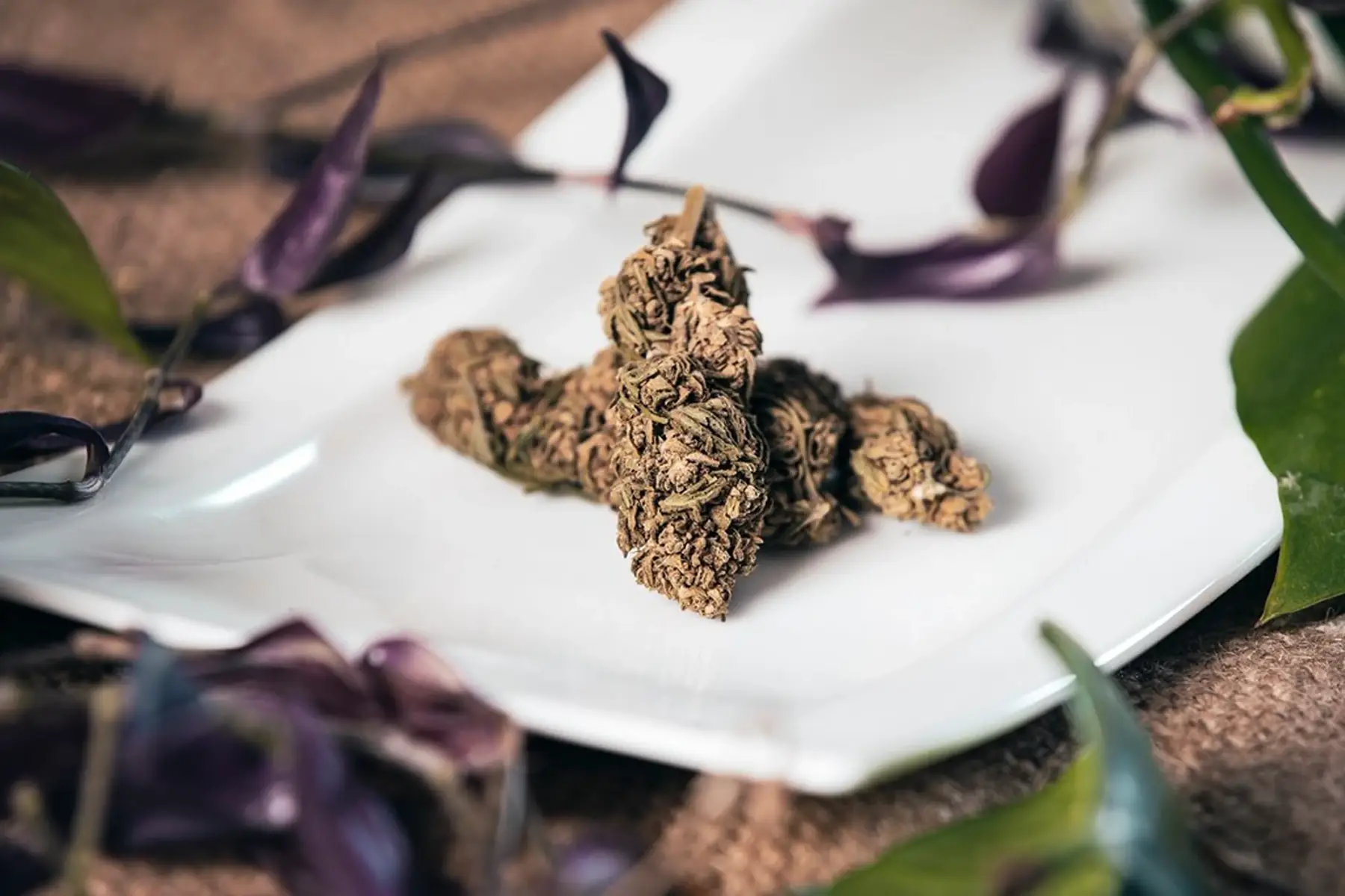 fleurs de cbg, sachet de 5g