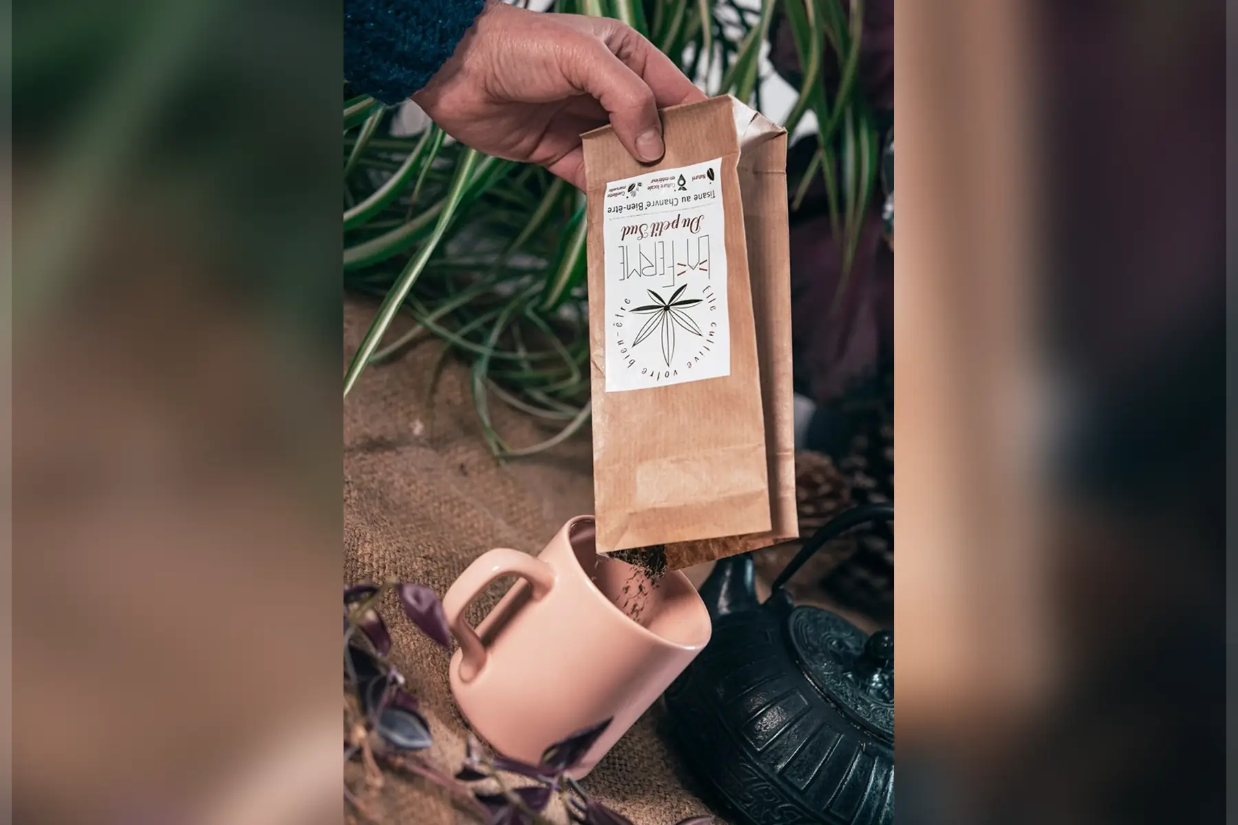 tisane 100% chanvre bien-être, sachet 30g