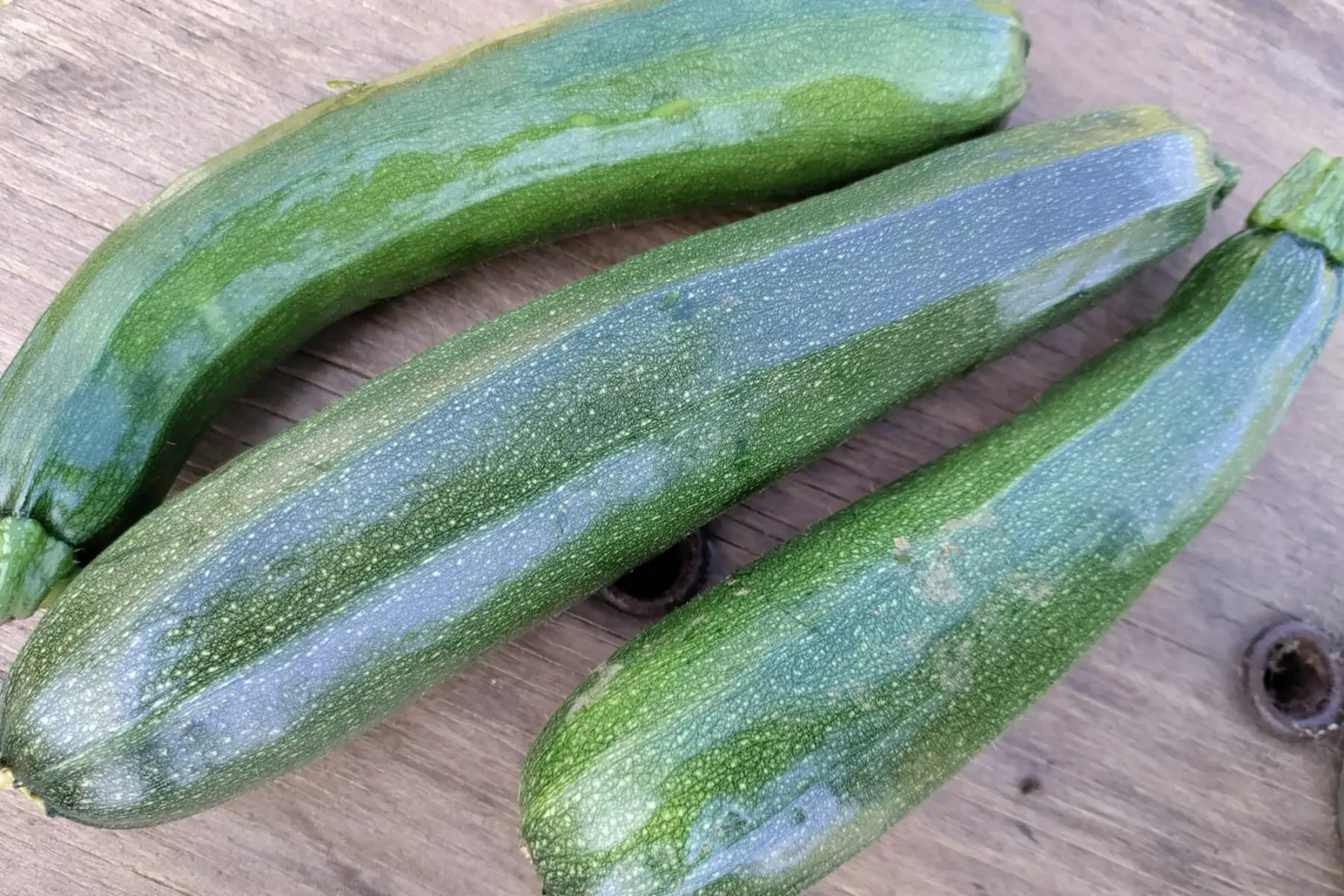 courgette verte