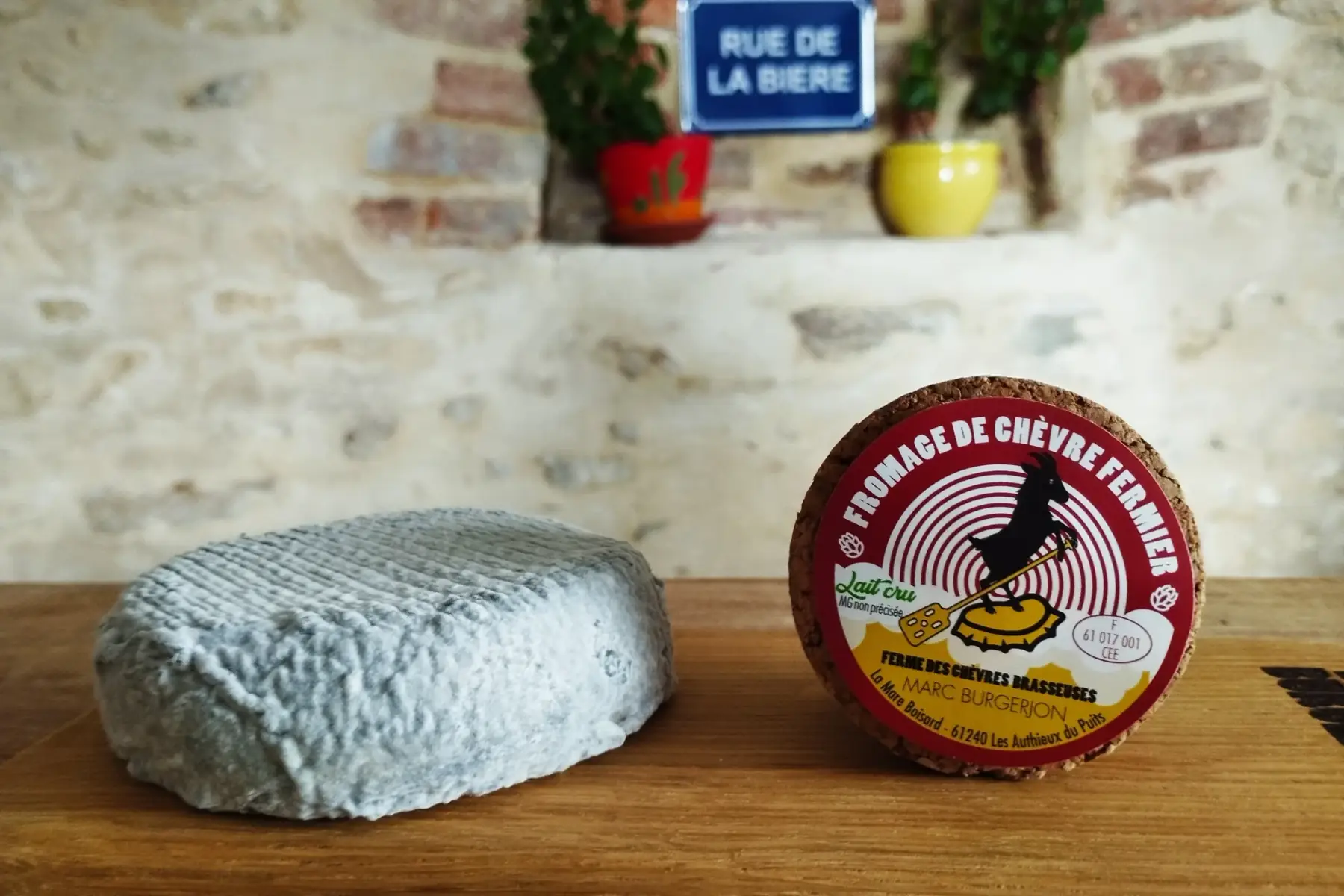 fromage de chèvre - palet cendré