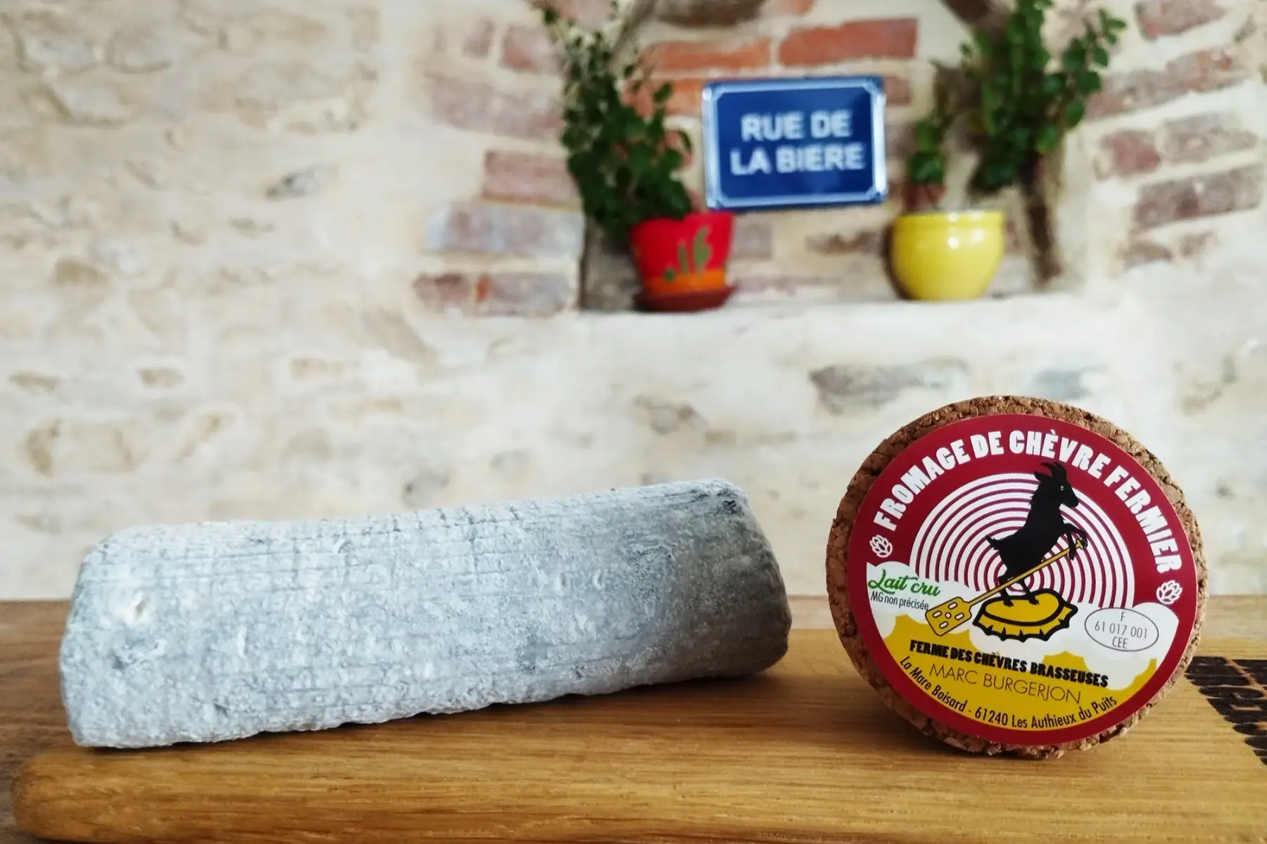 fromage de chèvre - bûche cendrée