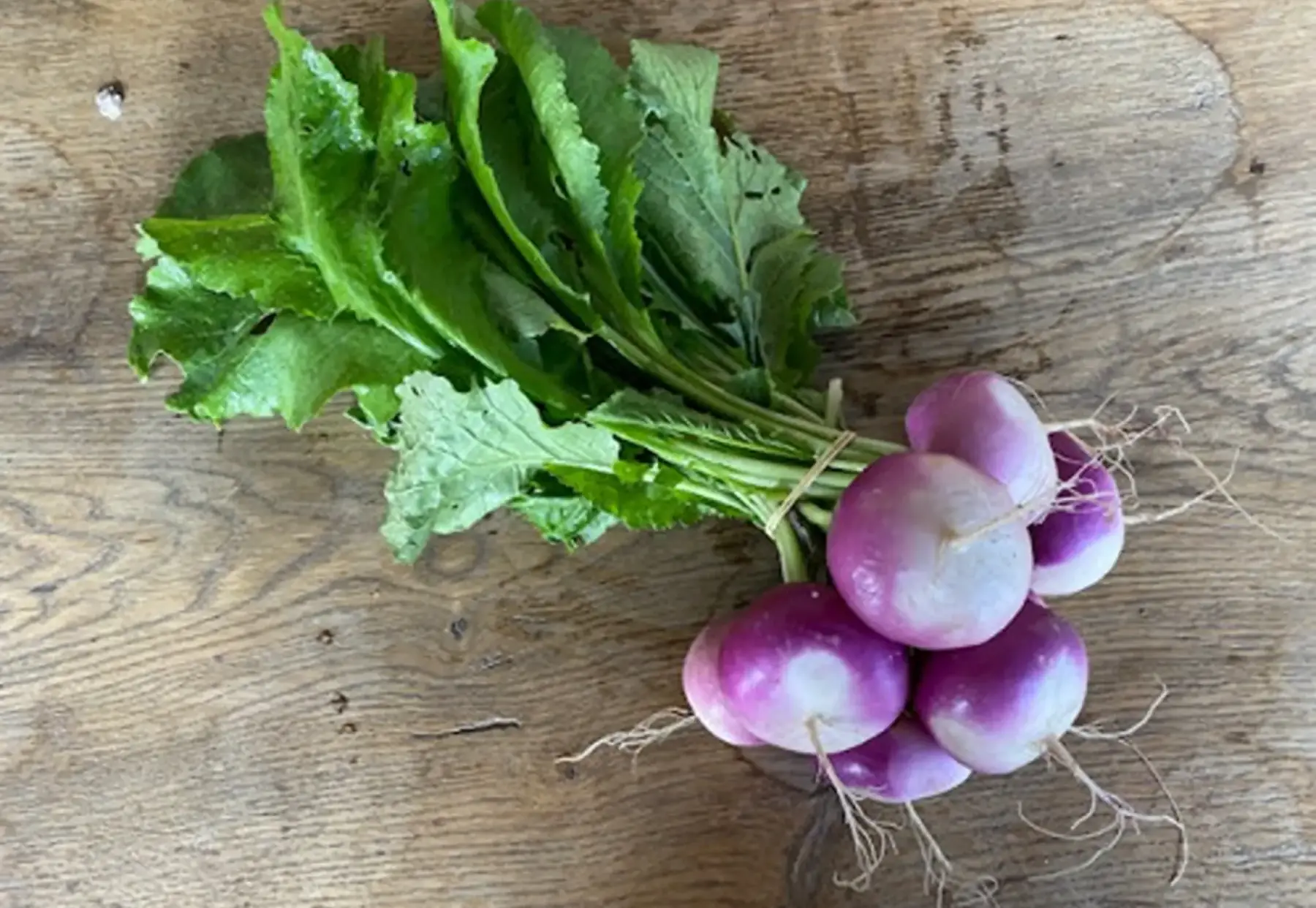 navets nouveaux - la botte