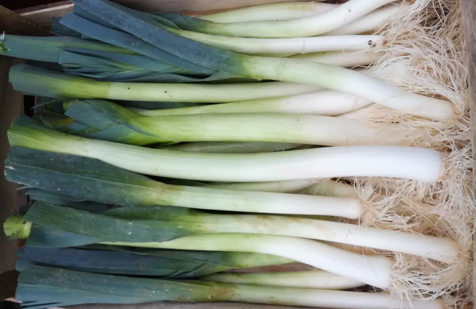 poireaux - 500g