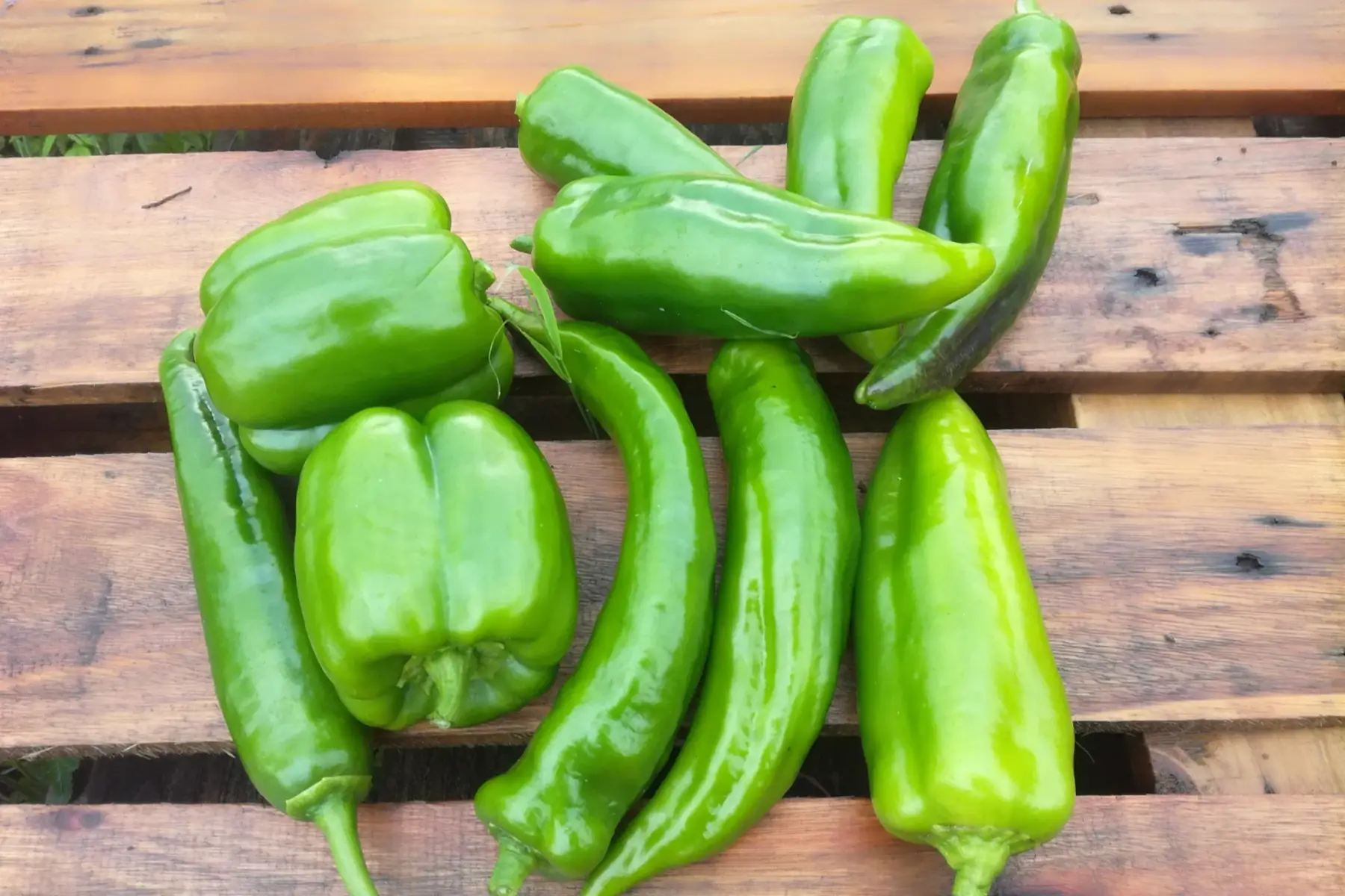 poivrons verts - 200g