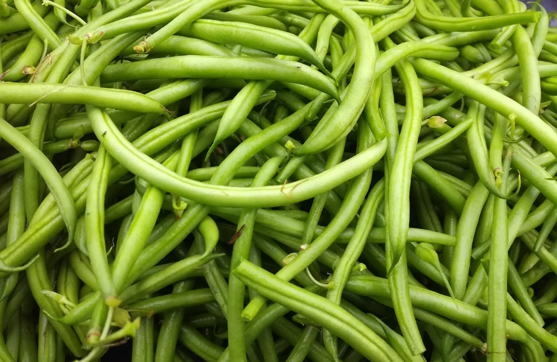 haricots verts 250g