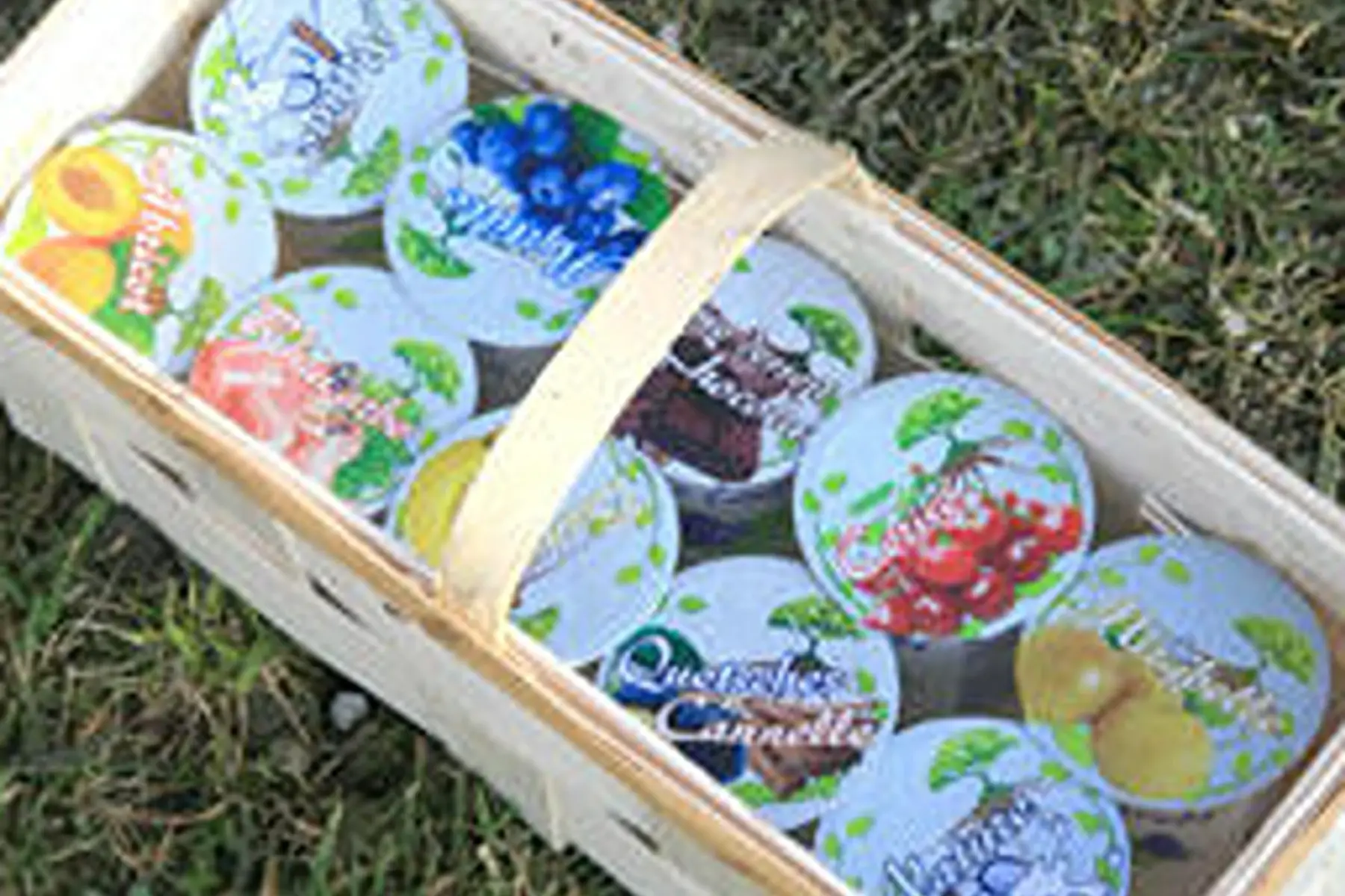 lot de 4 yaouts fruits