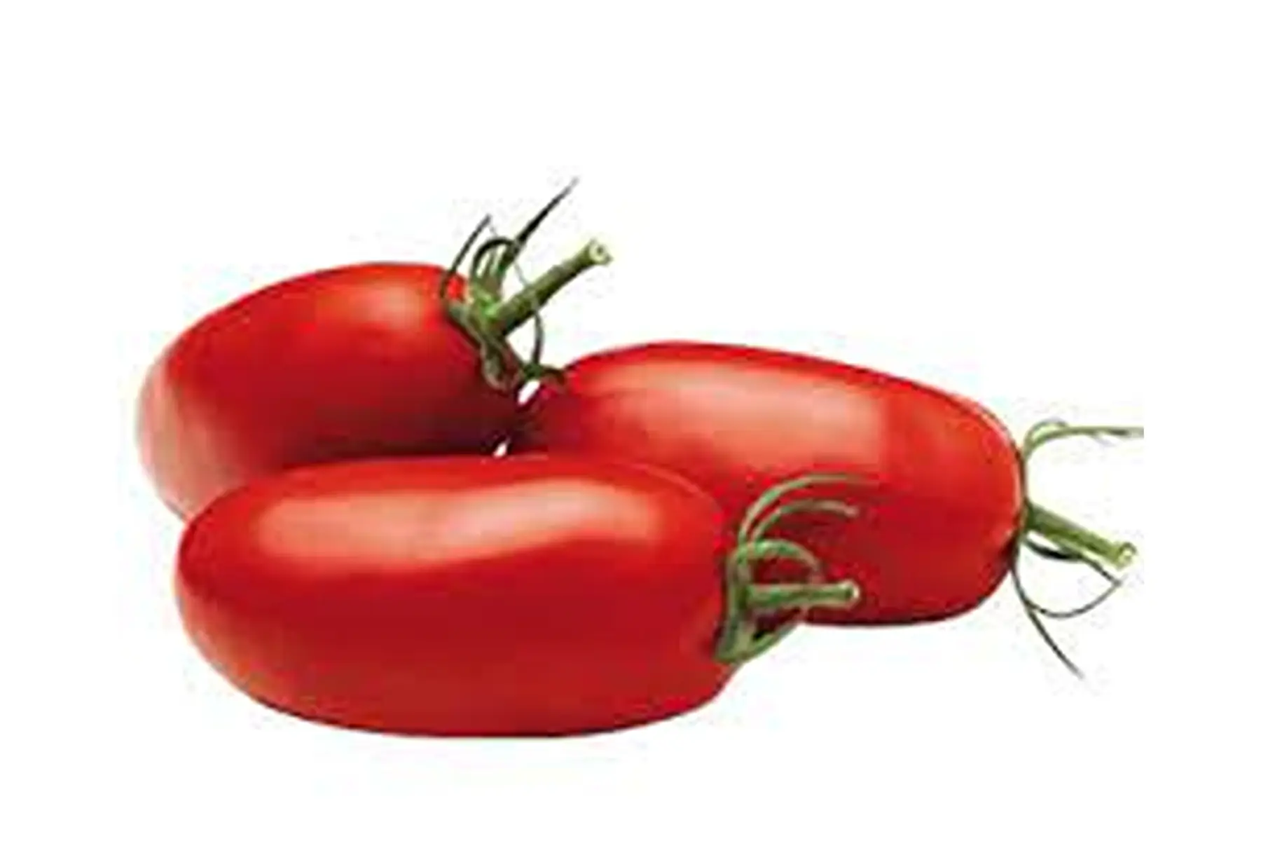 tomates cornue longues