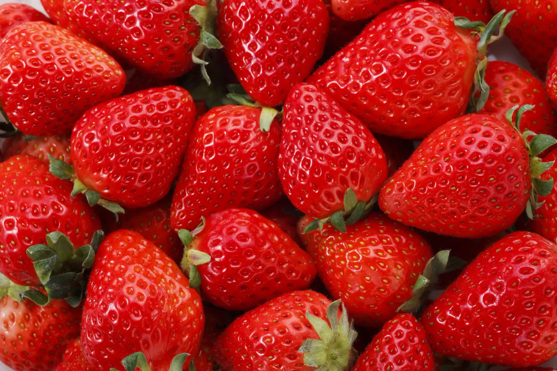 fraises vrac (1kg)