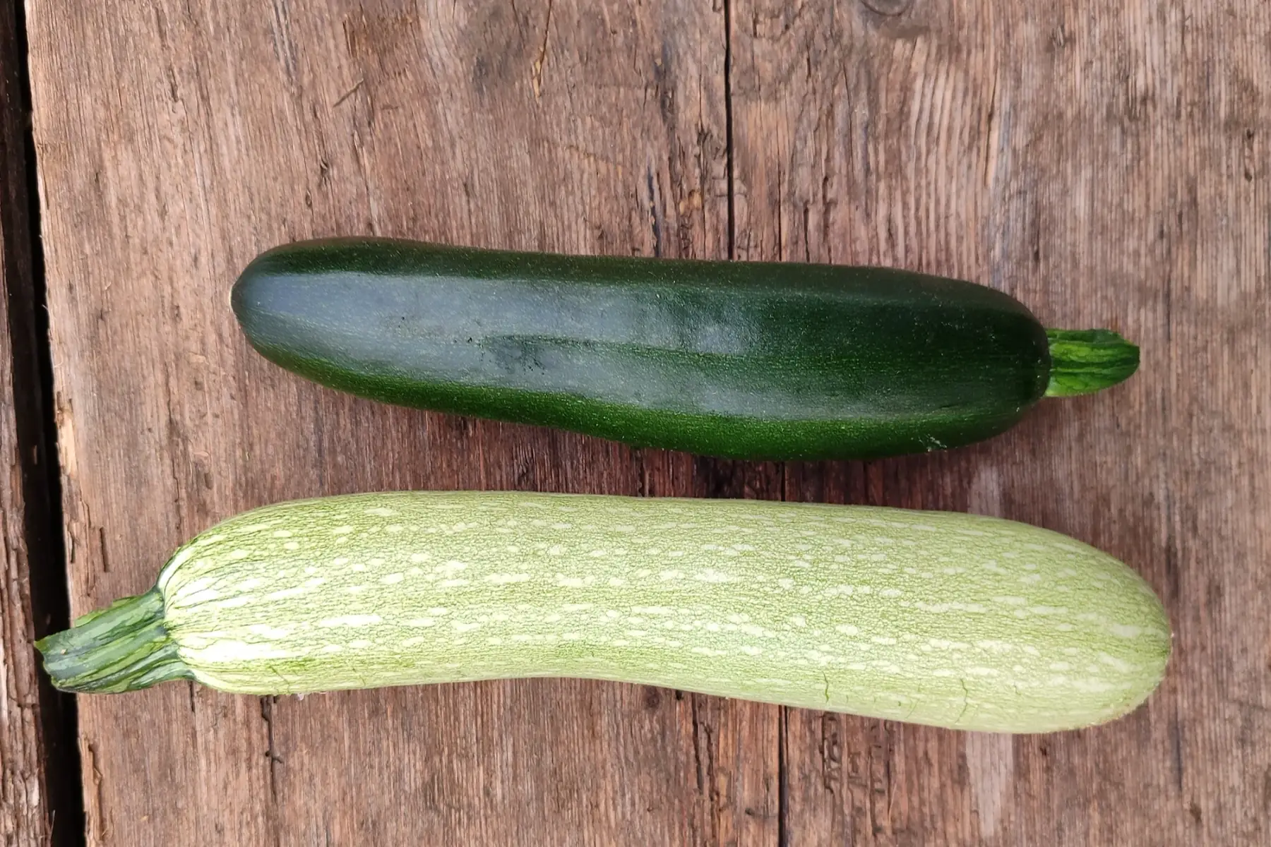 courgette verte