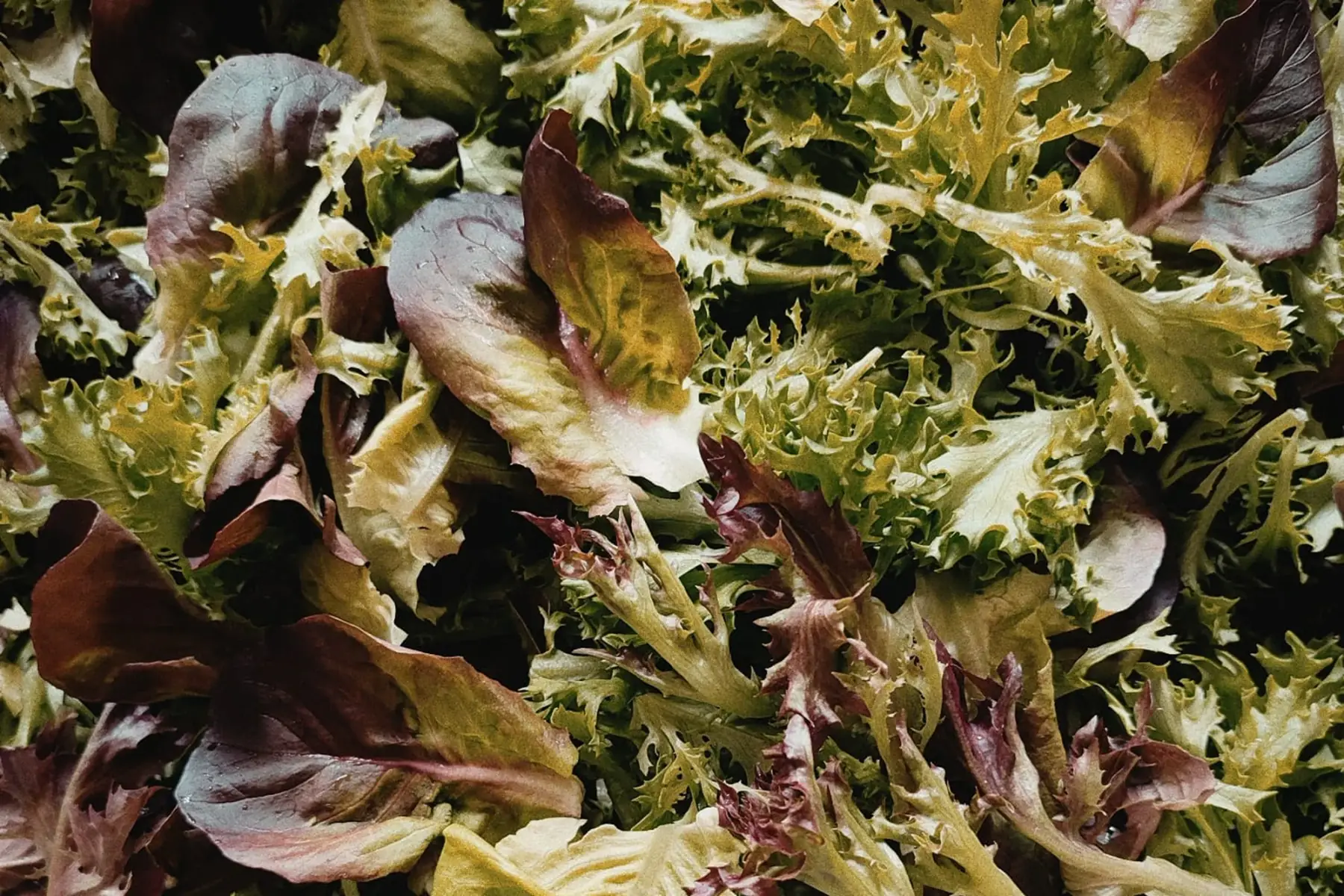 mesclun