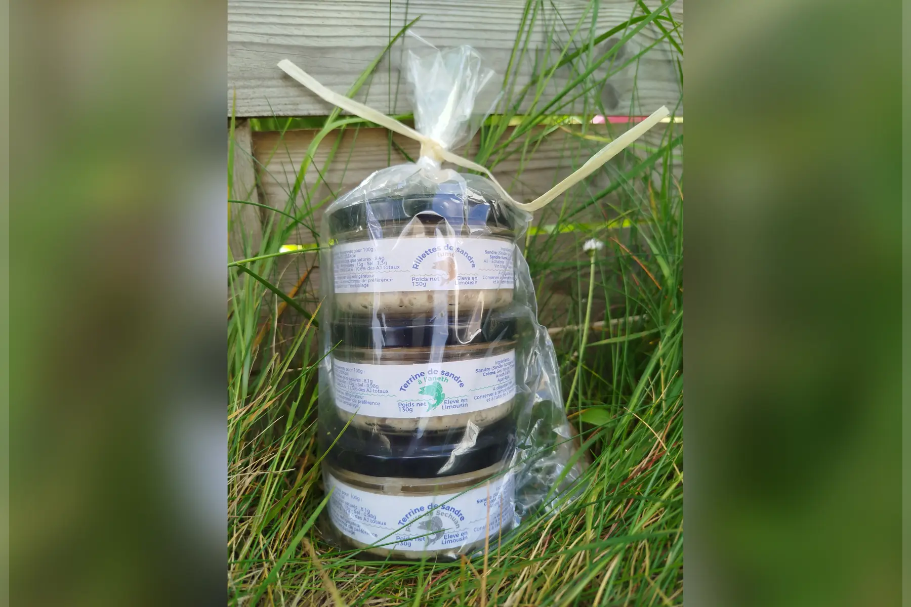 Sandre - LOT DE 3 TERRINES