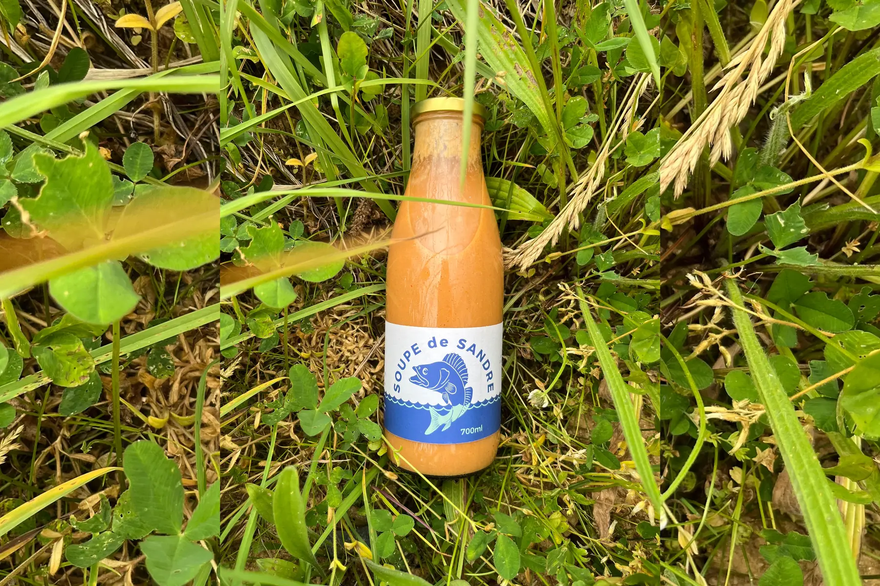 Sandre - SOUPE DE SANDRE Nature