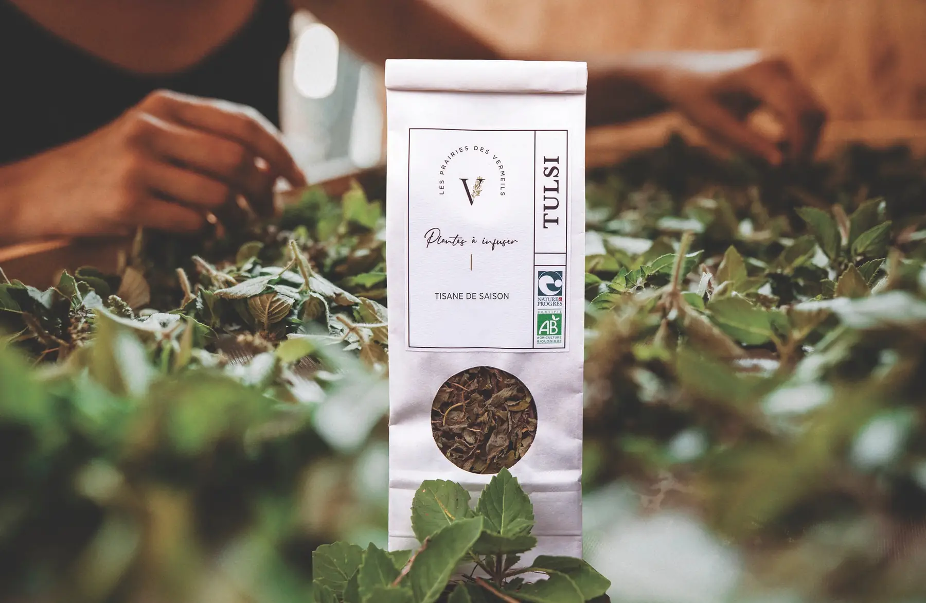 tisane de saison bio