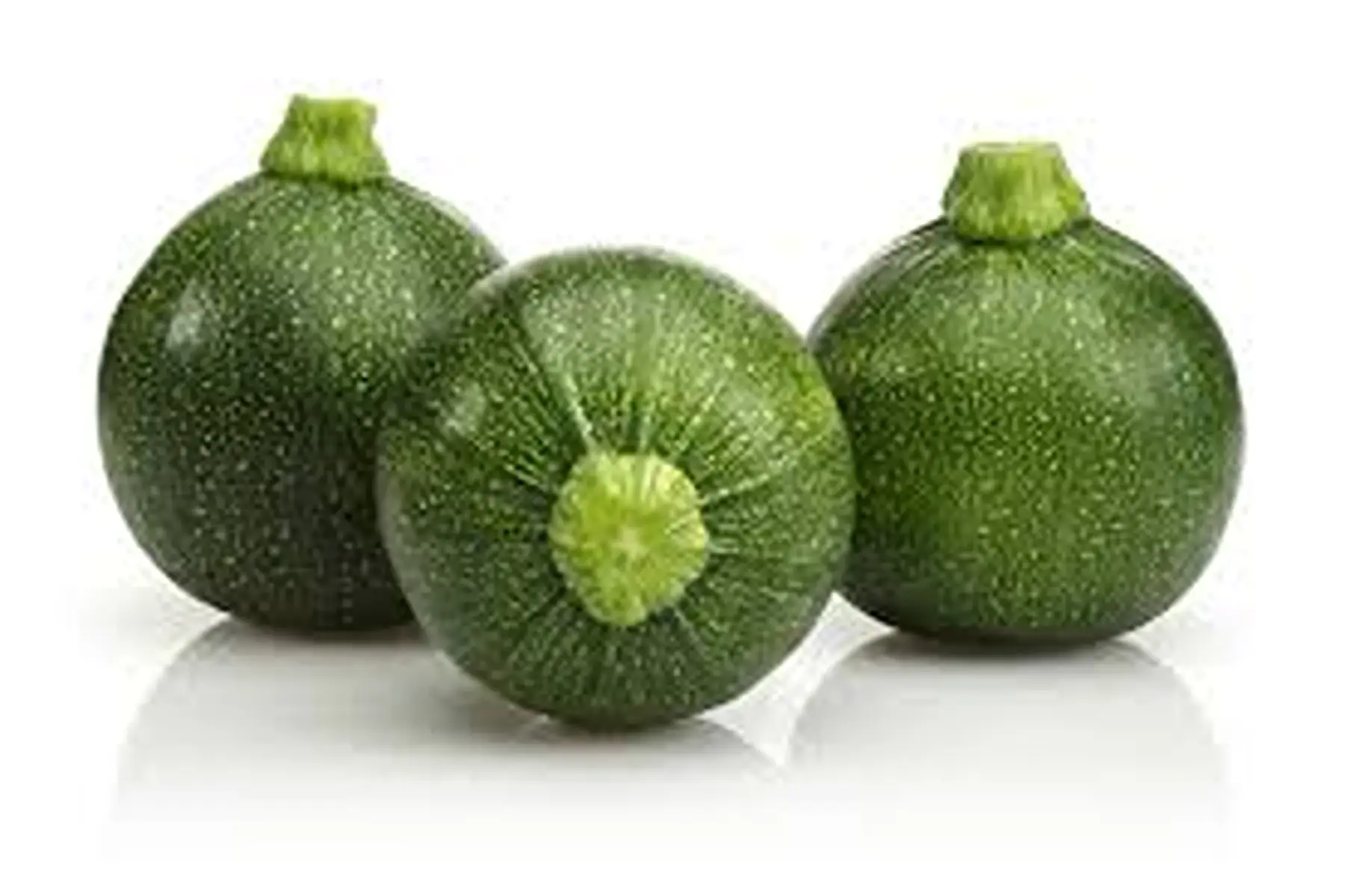 courgette rondes vertes