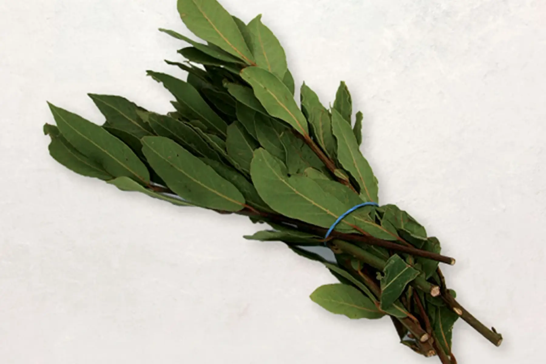 les jardins de mondpa