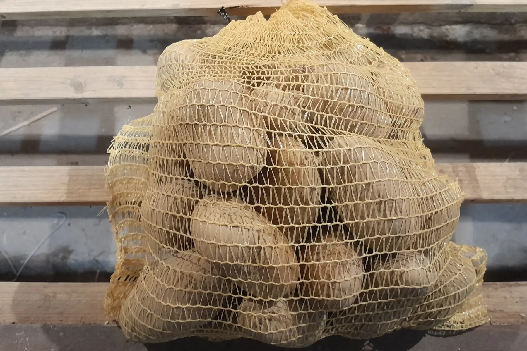 Pomme de terre ferme (sac 5 kilos)