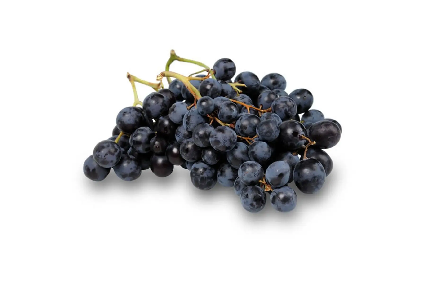 raisin noir muscat hambourg