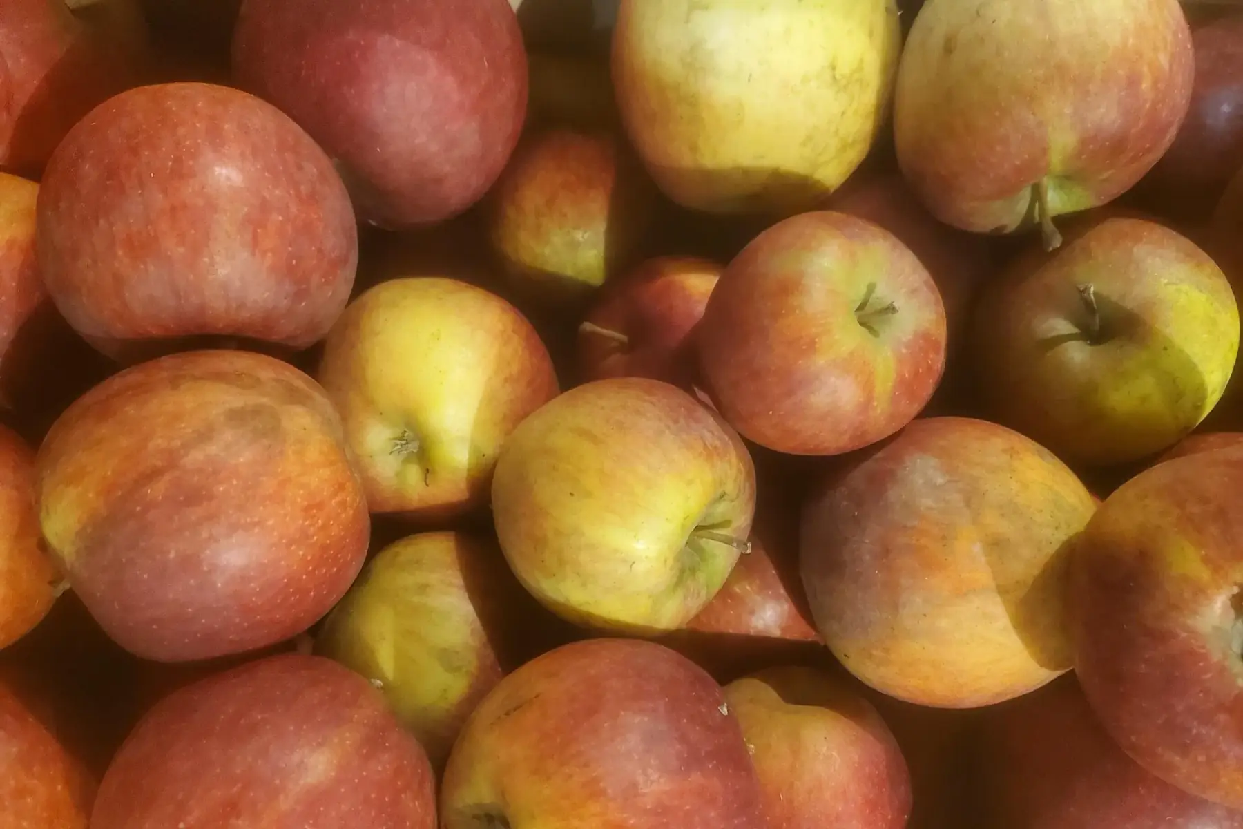 Pomme Natyra