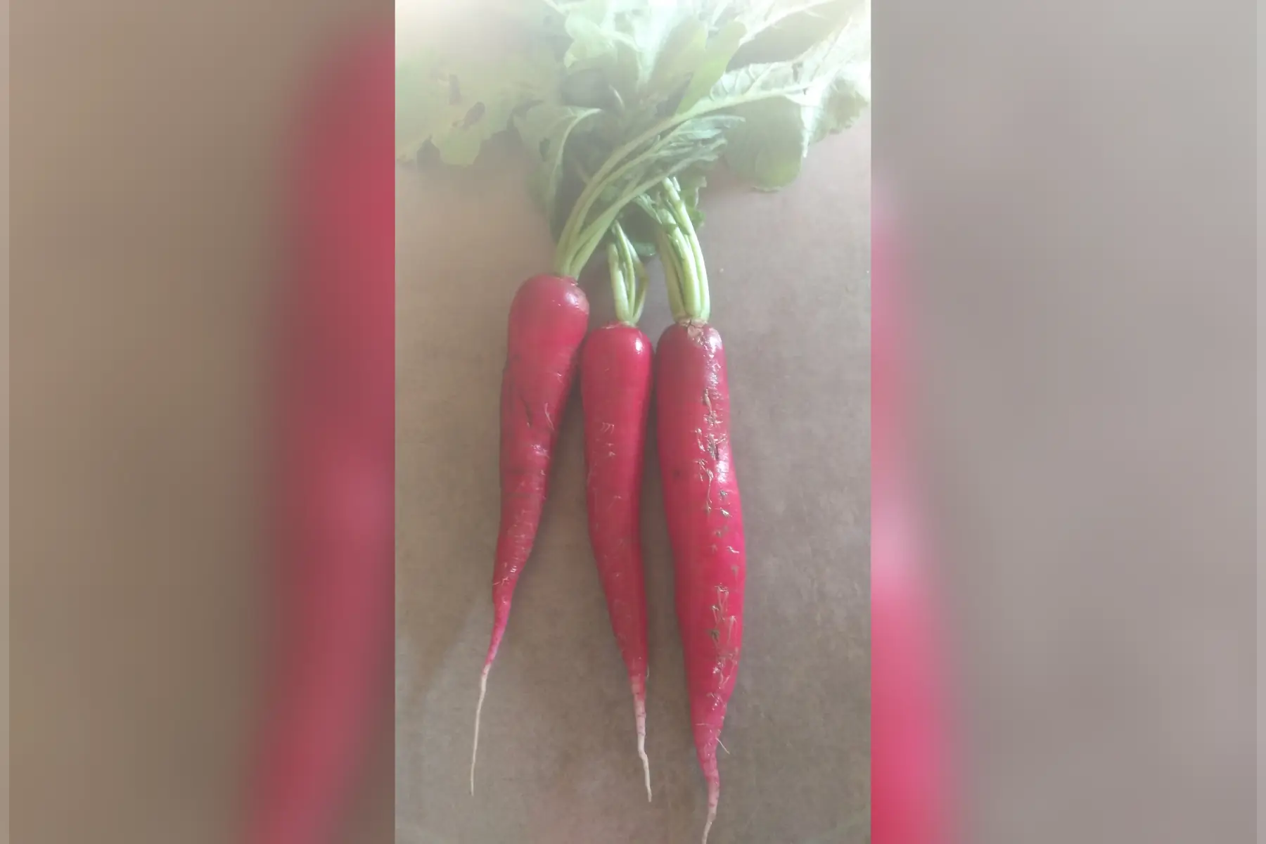 Radis rave rouge