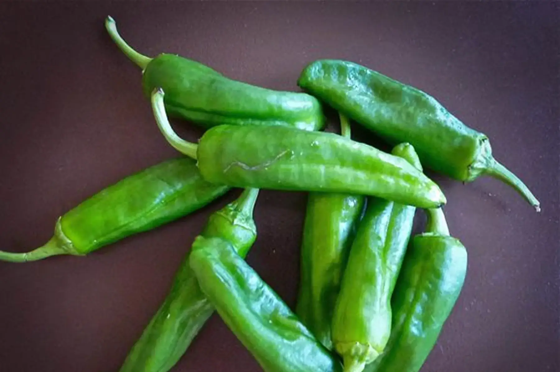 Piment Gorria (type Espelette)
