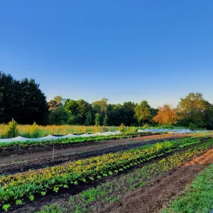 LES JARDINS BIO DE THUREY