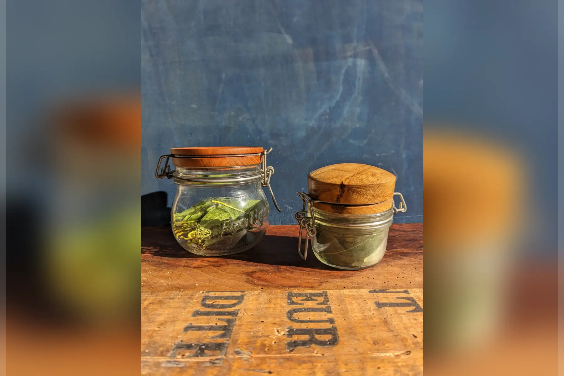 bocal type le parfait