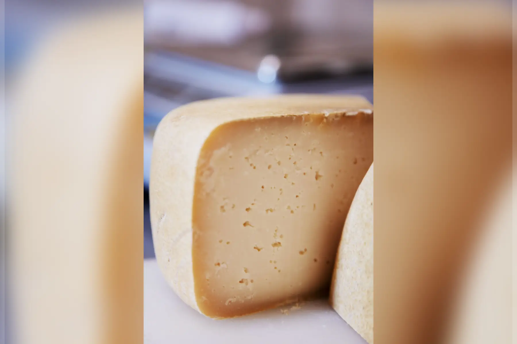 tome jeune de brebis 200g (+/- 10%) au lait cru bio et fermière