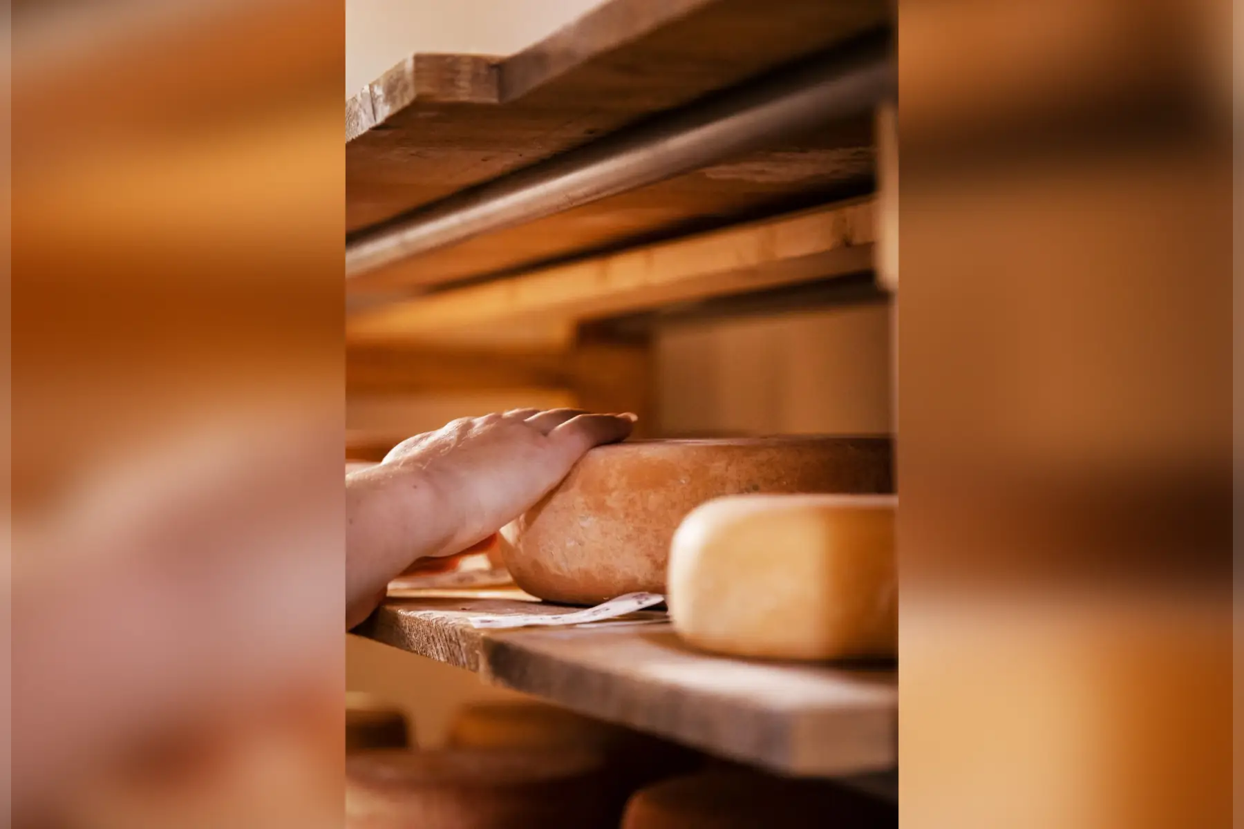 tome de brebis > 6mois 400g (+/- 10%) au lait cru bio et fermière