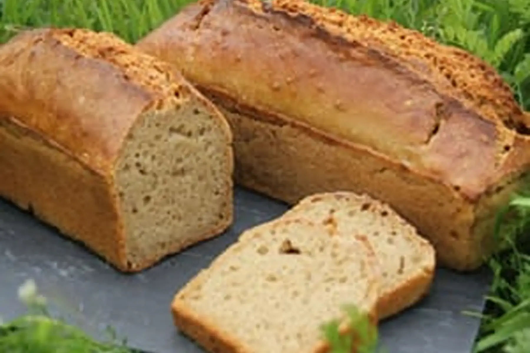 le pain de petit épeautre ou engrain